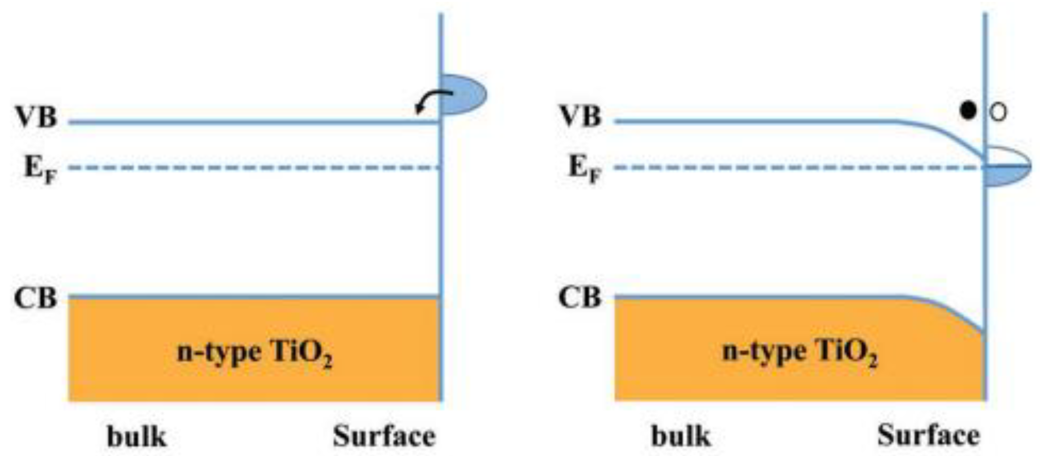 Preprints 130294 g004