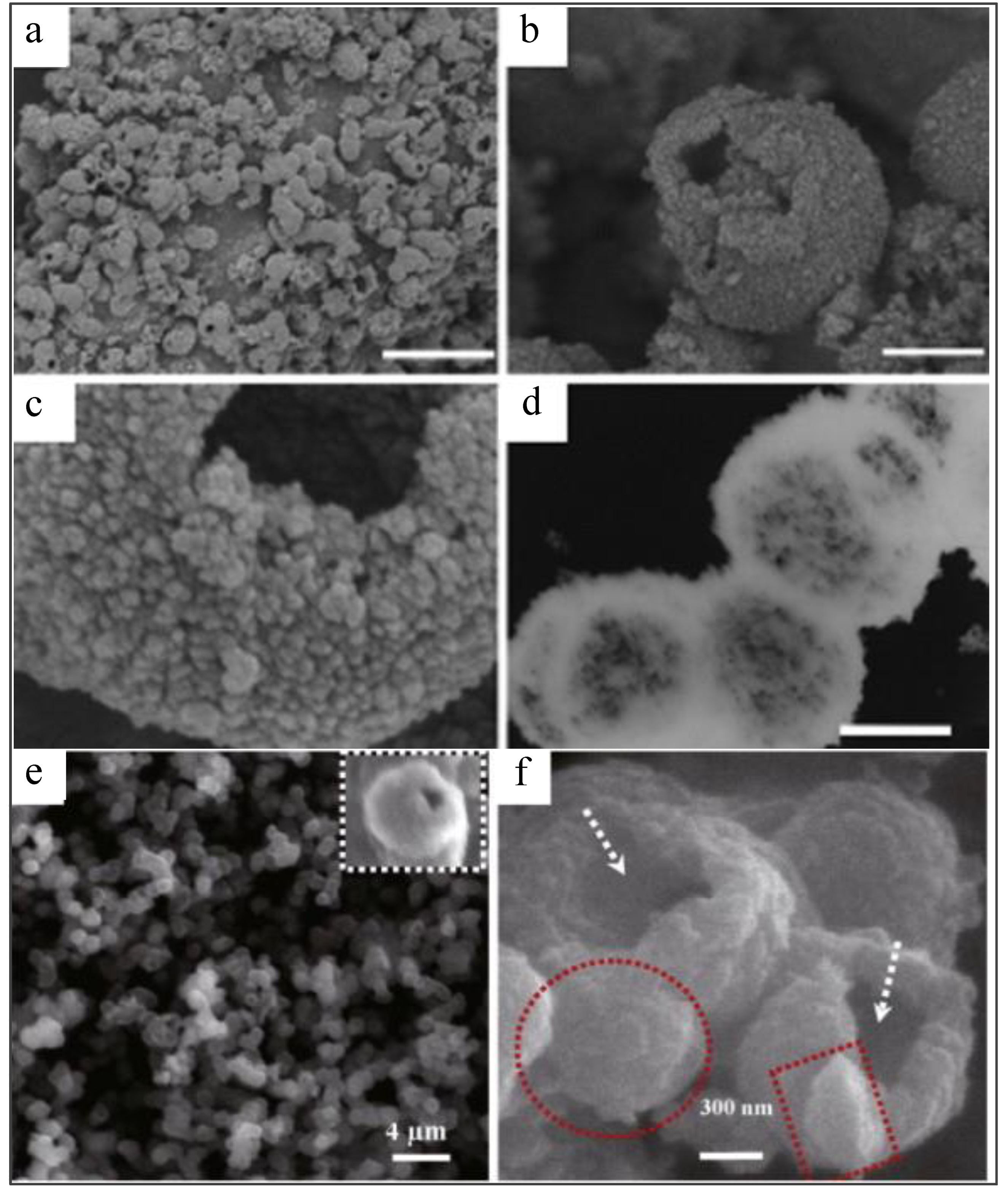 Preprints 130294 g007