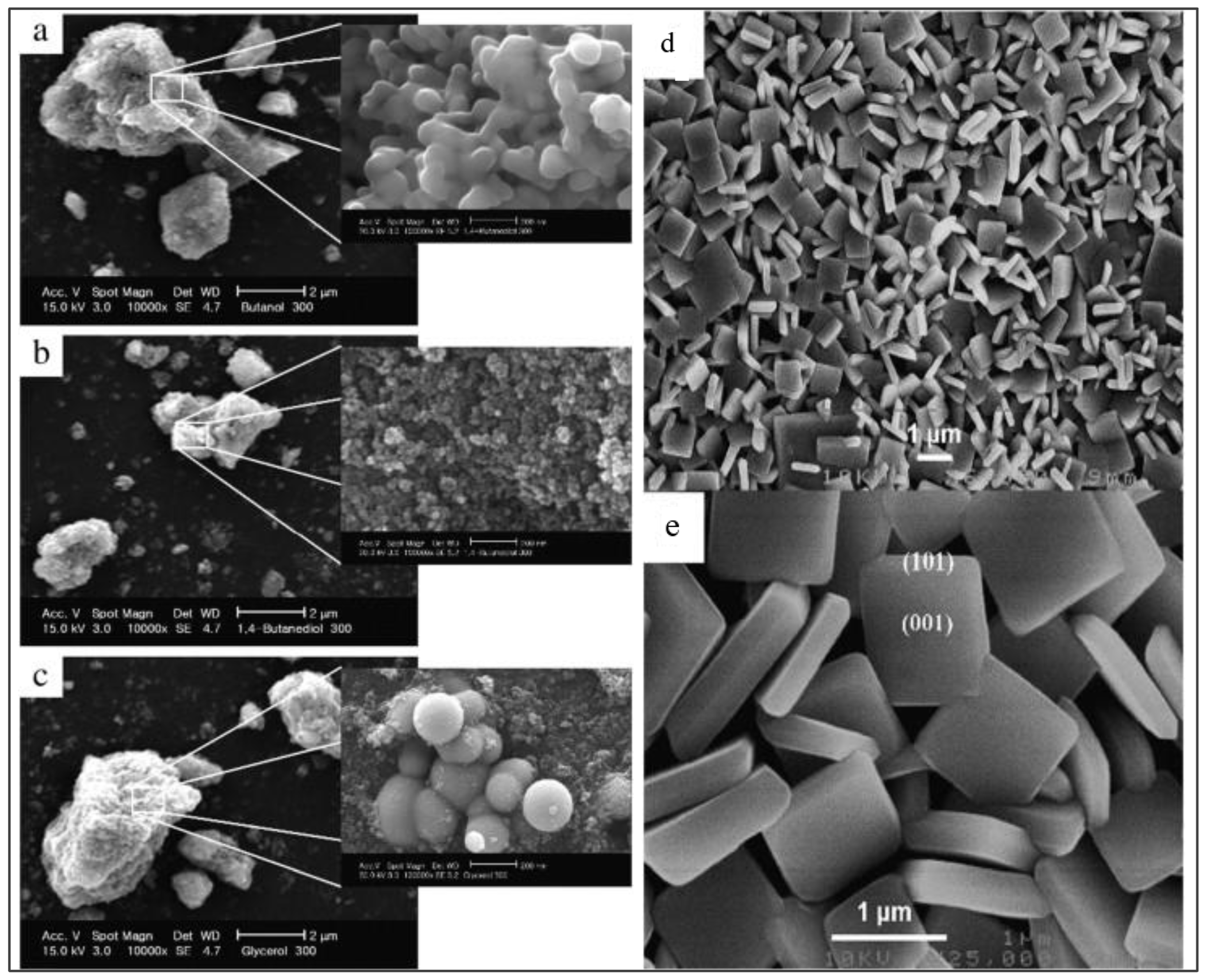 Preprints 130294 g008