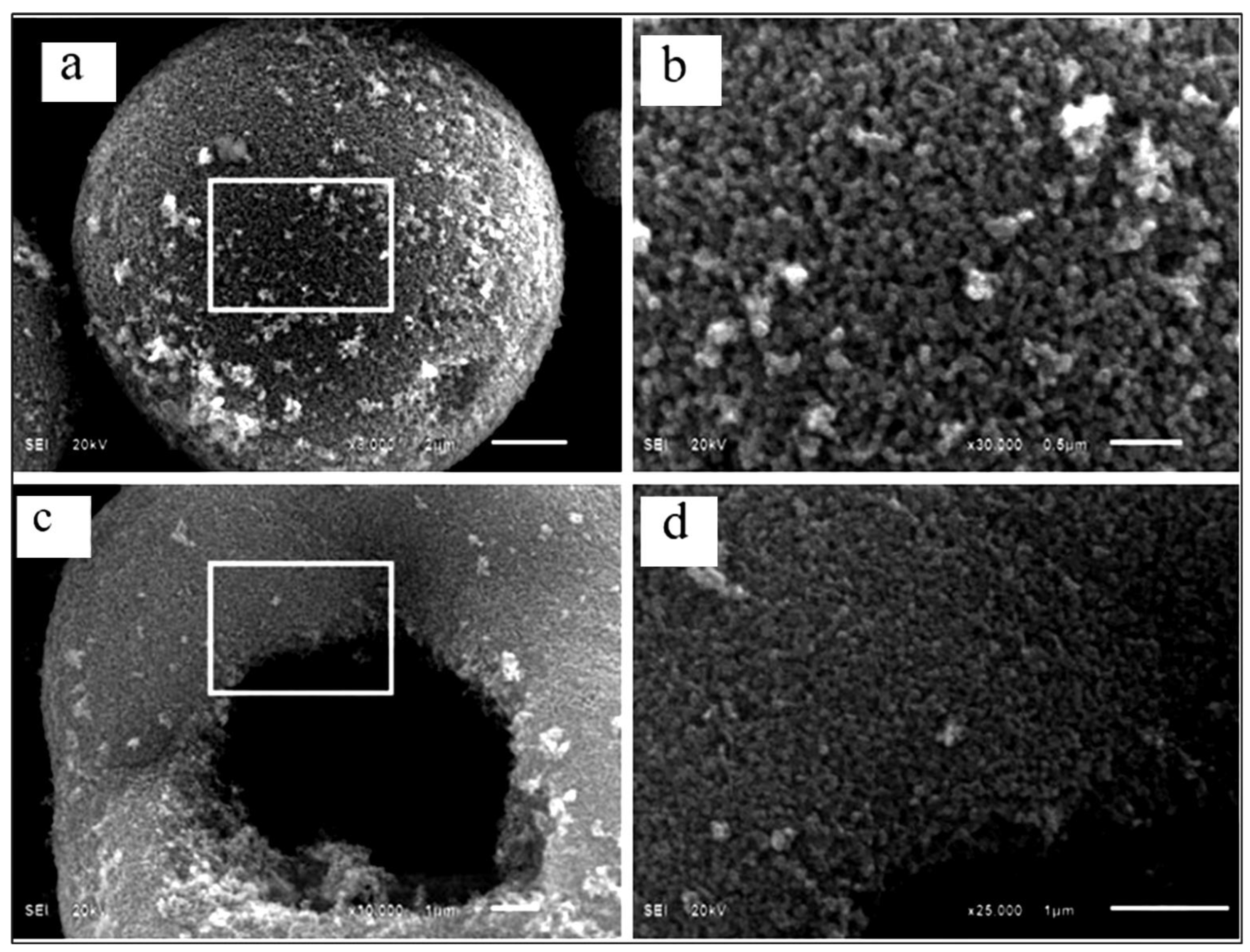 Preprints 130294 g009