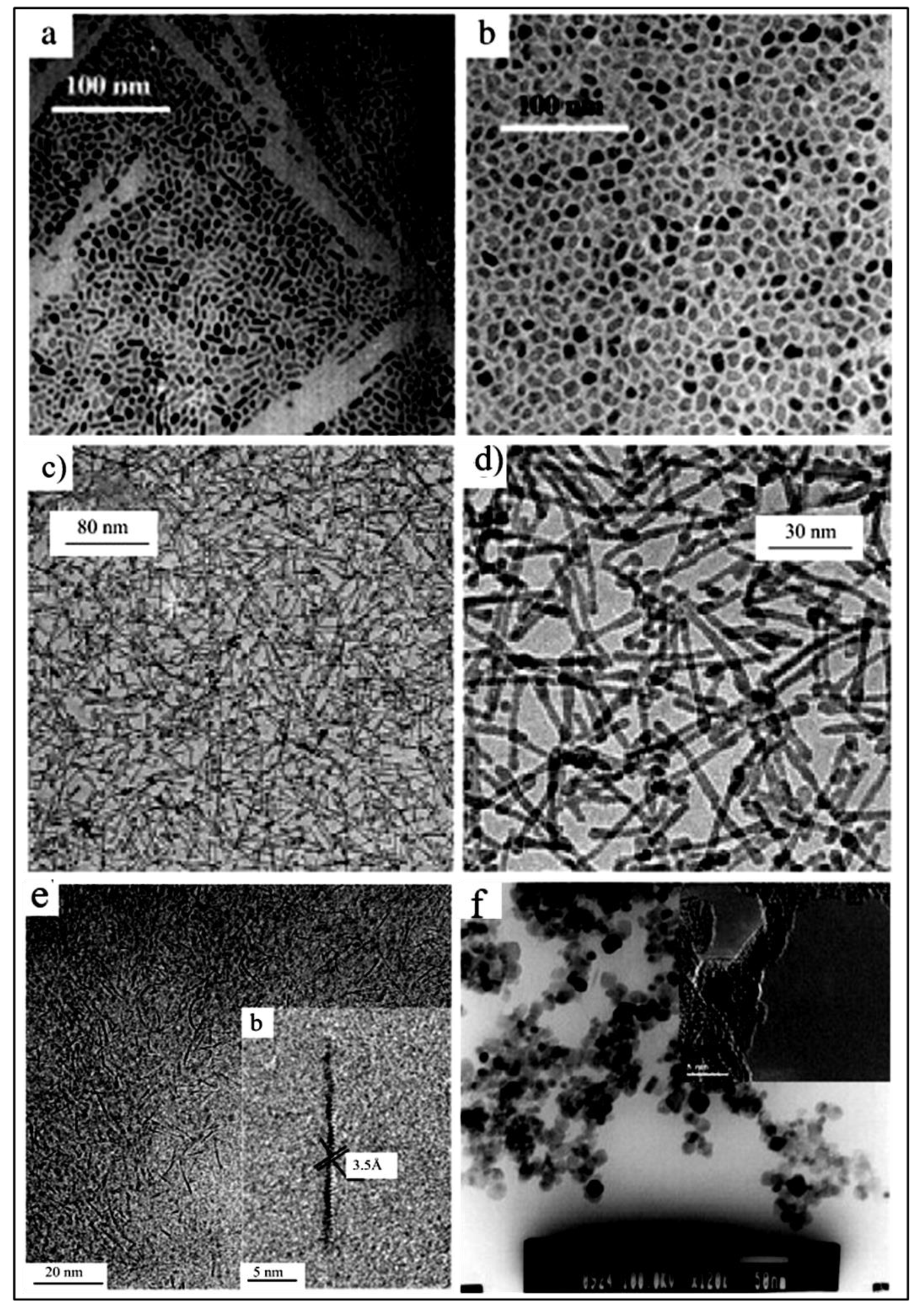 Preprints 130294 g010