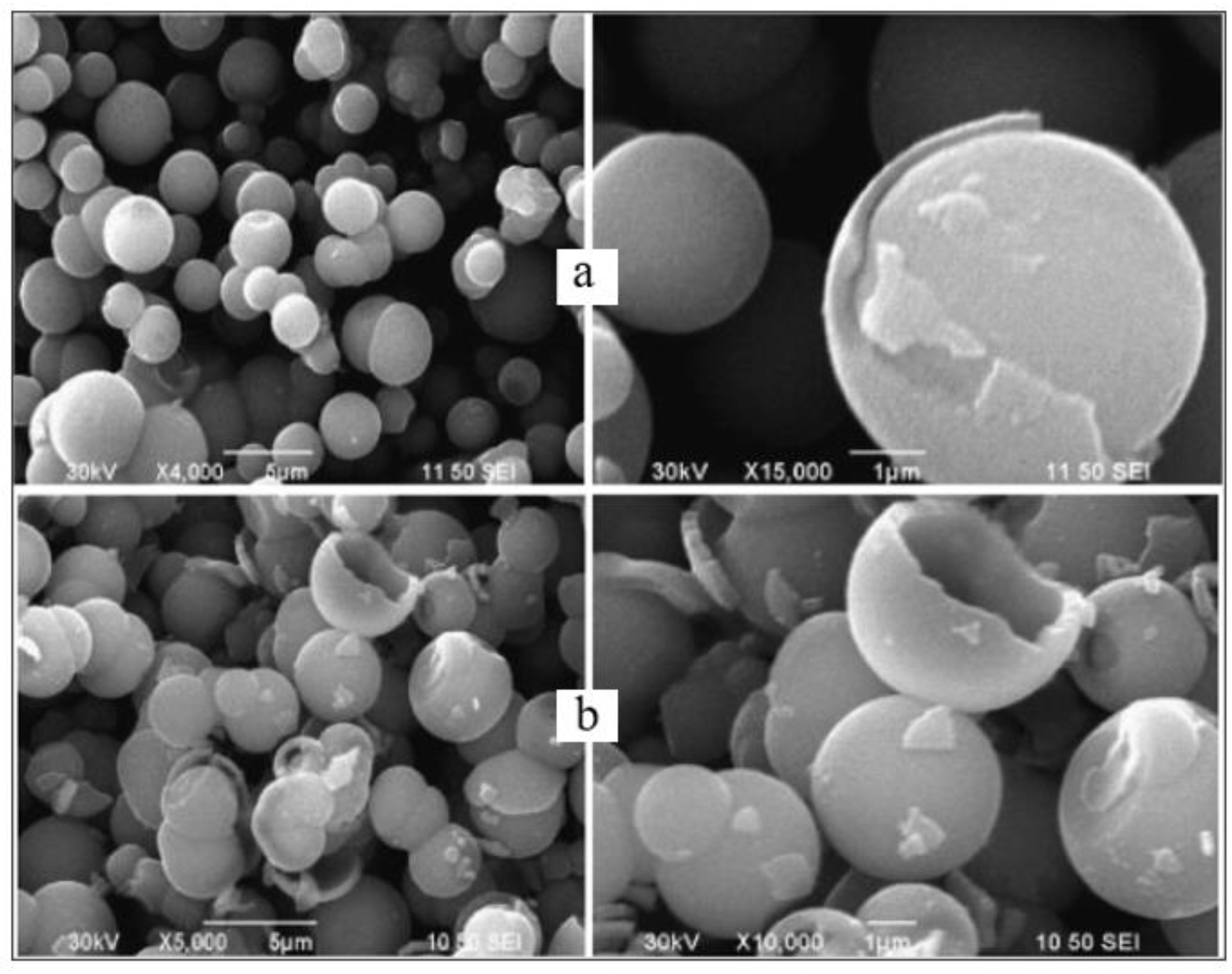Preprints 130294 g011