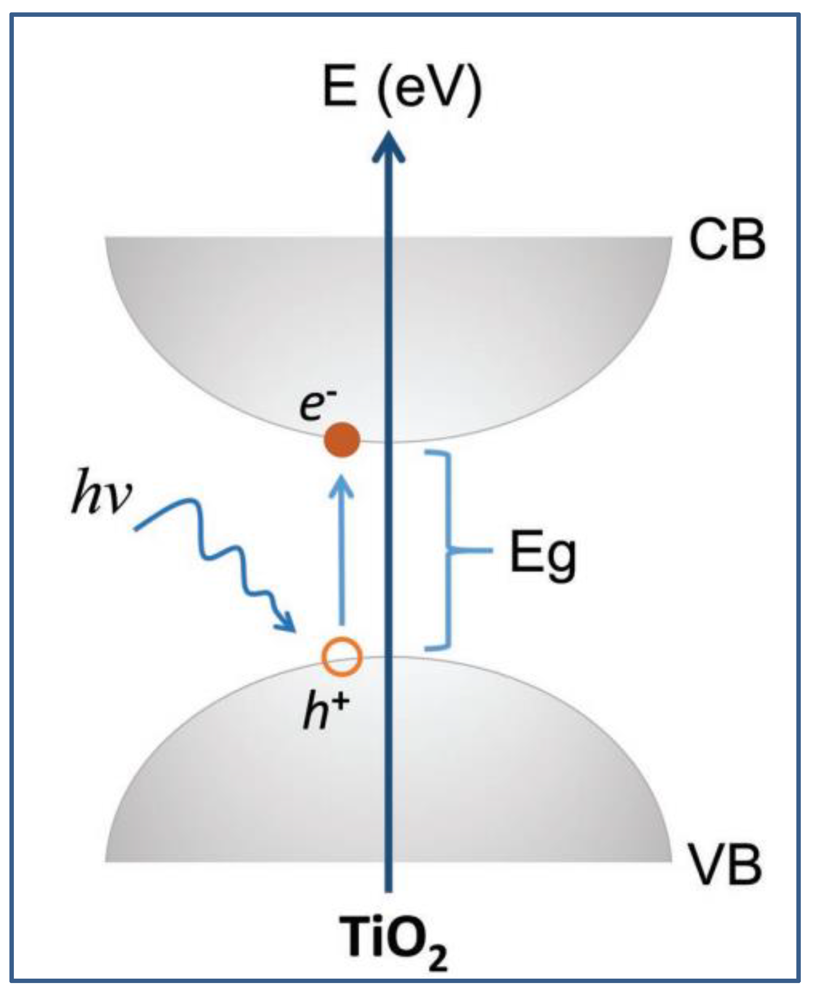Preprints 130294 g015