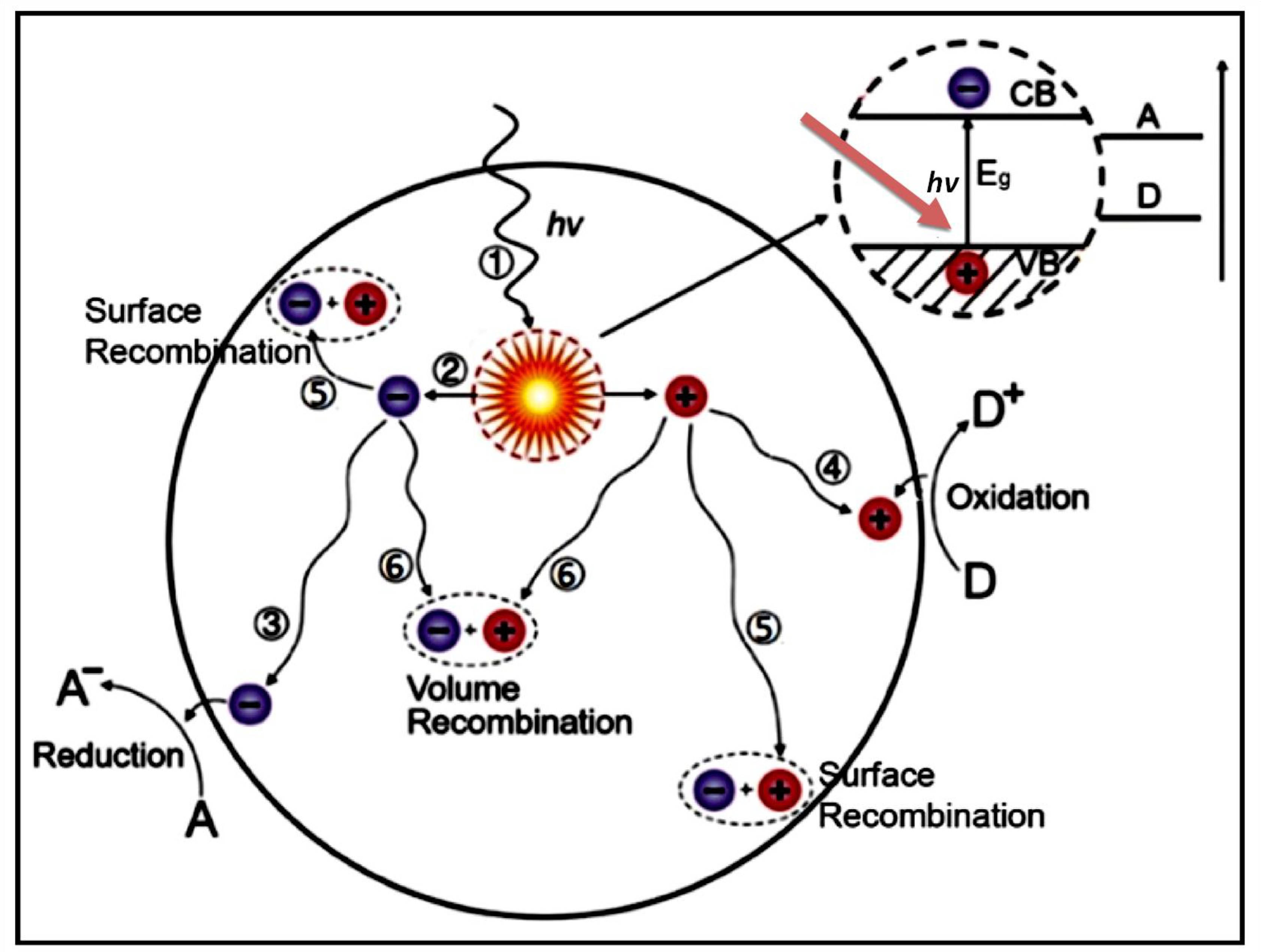 Preprints 130294 g016