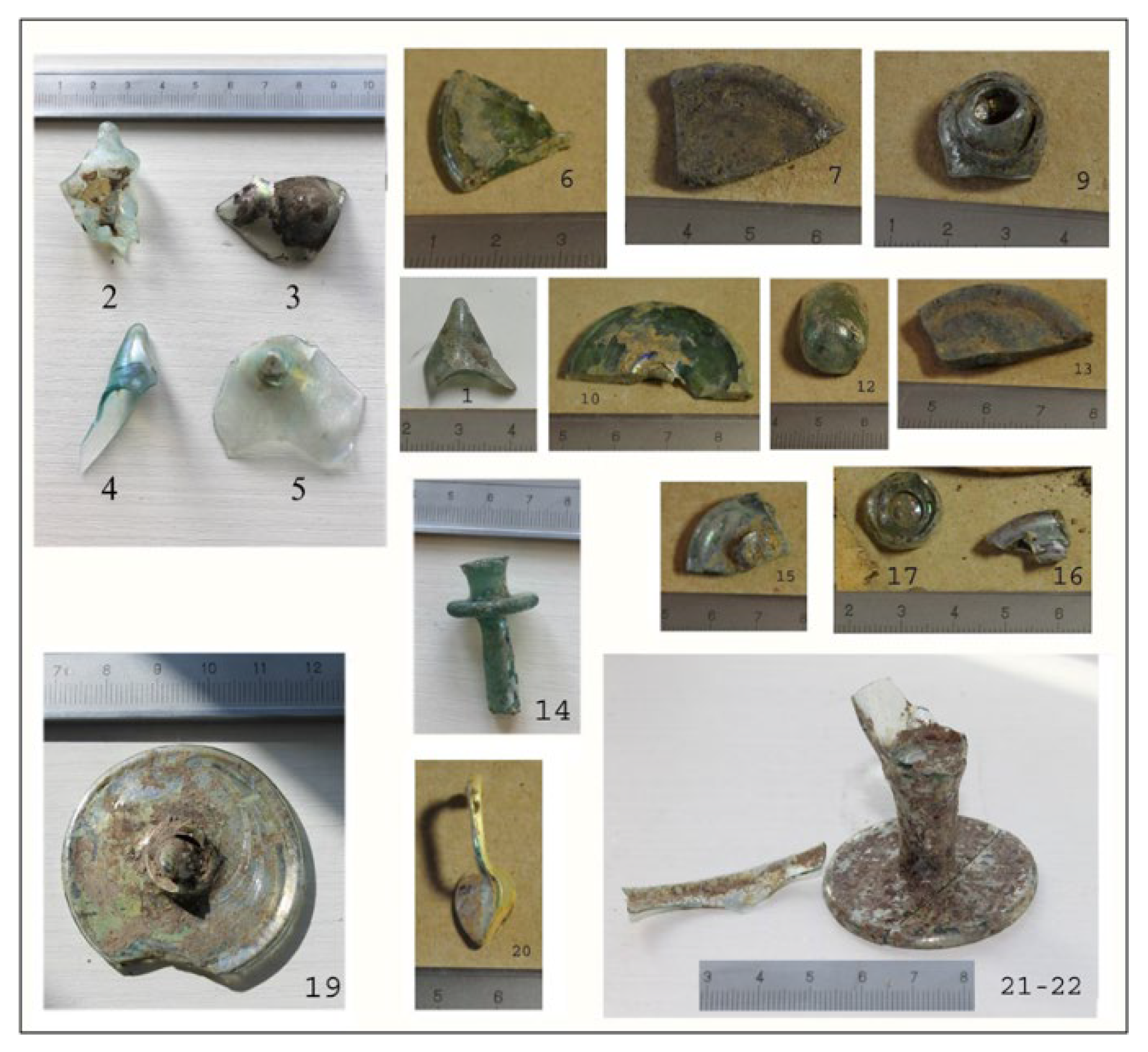 Preprints 154479 g002