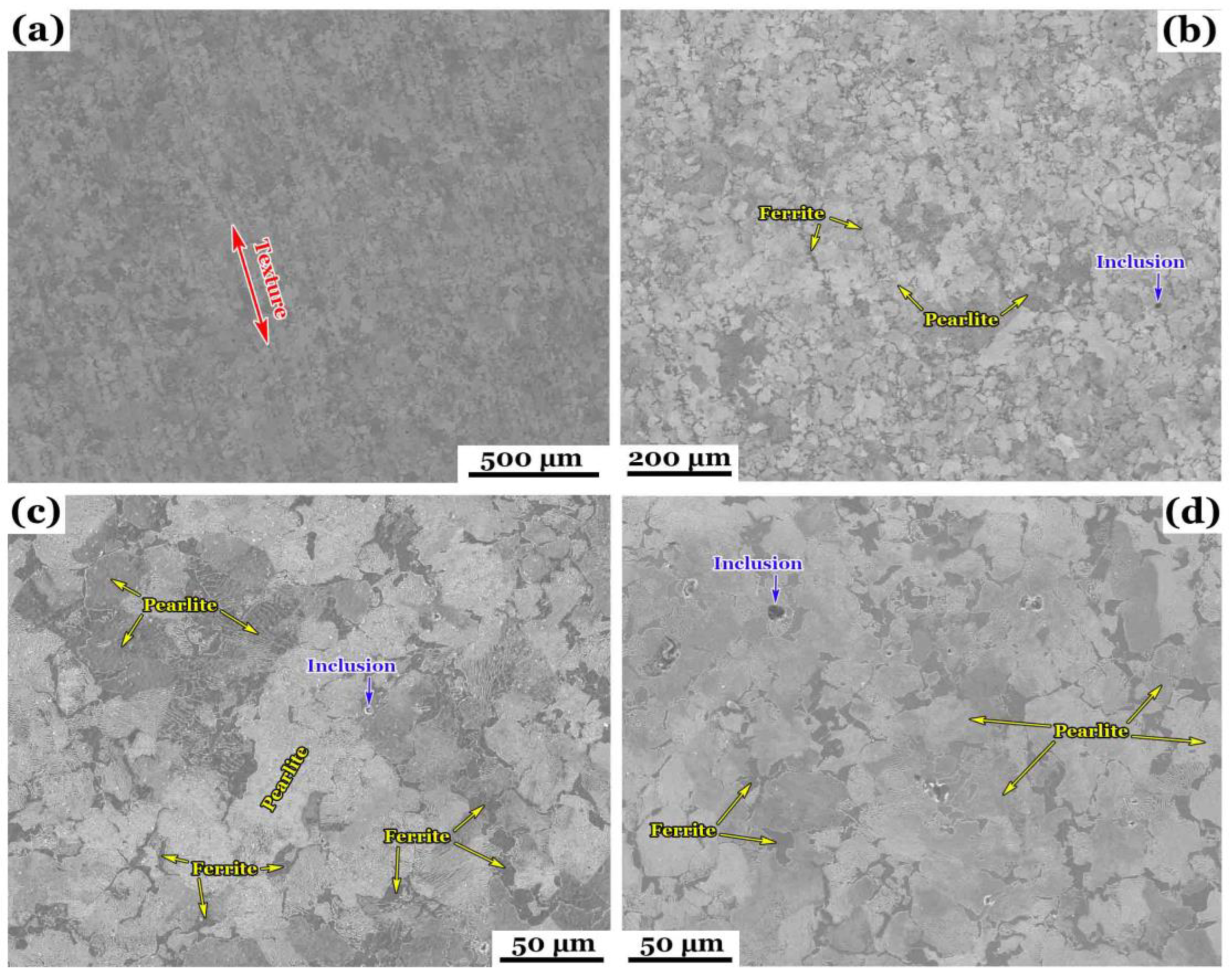 Preprints 161925 g002