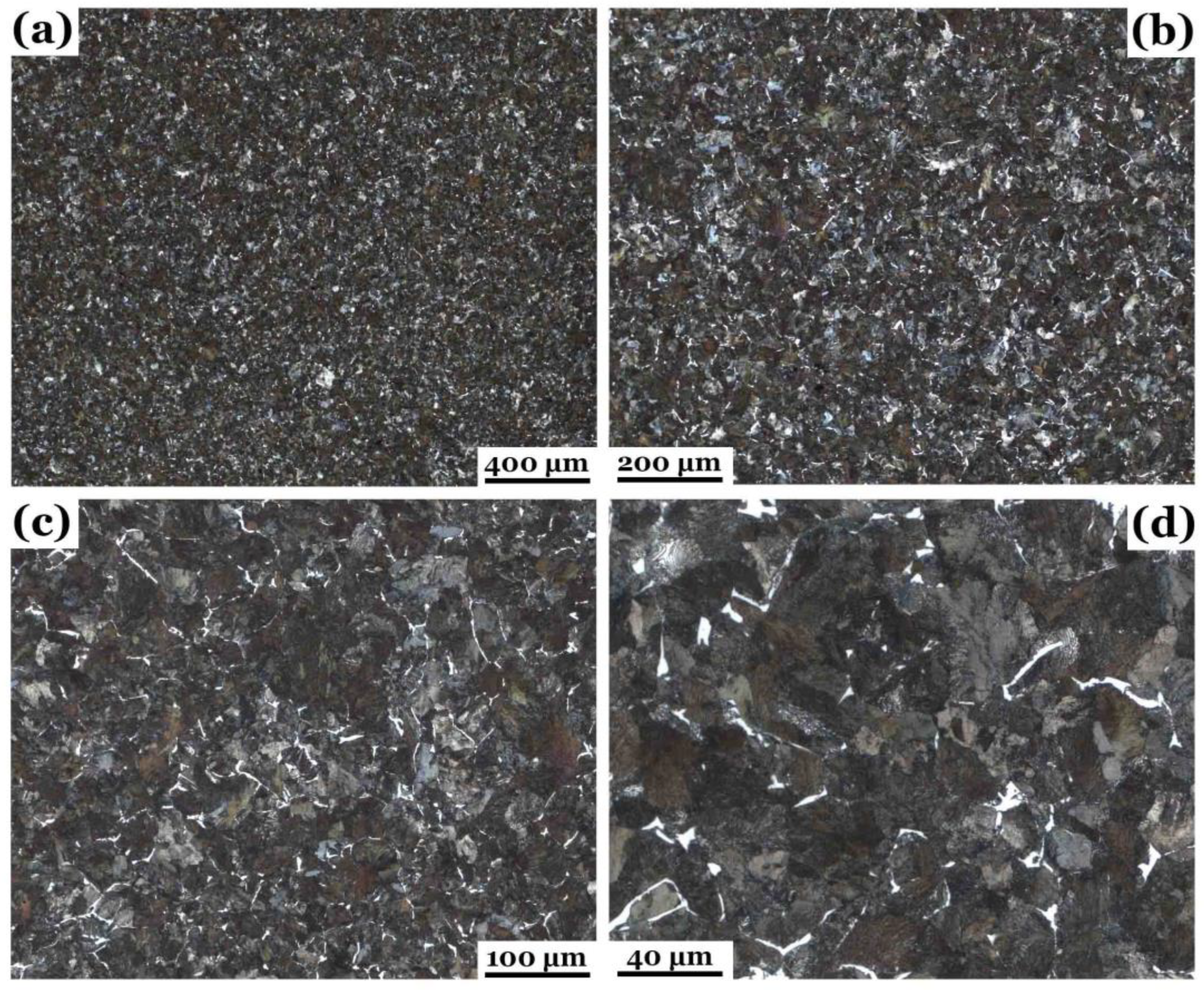 Preprints 161925 g003