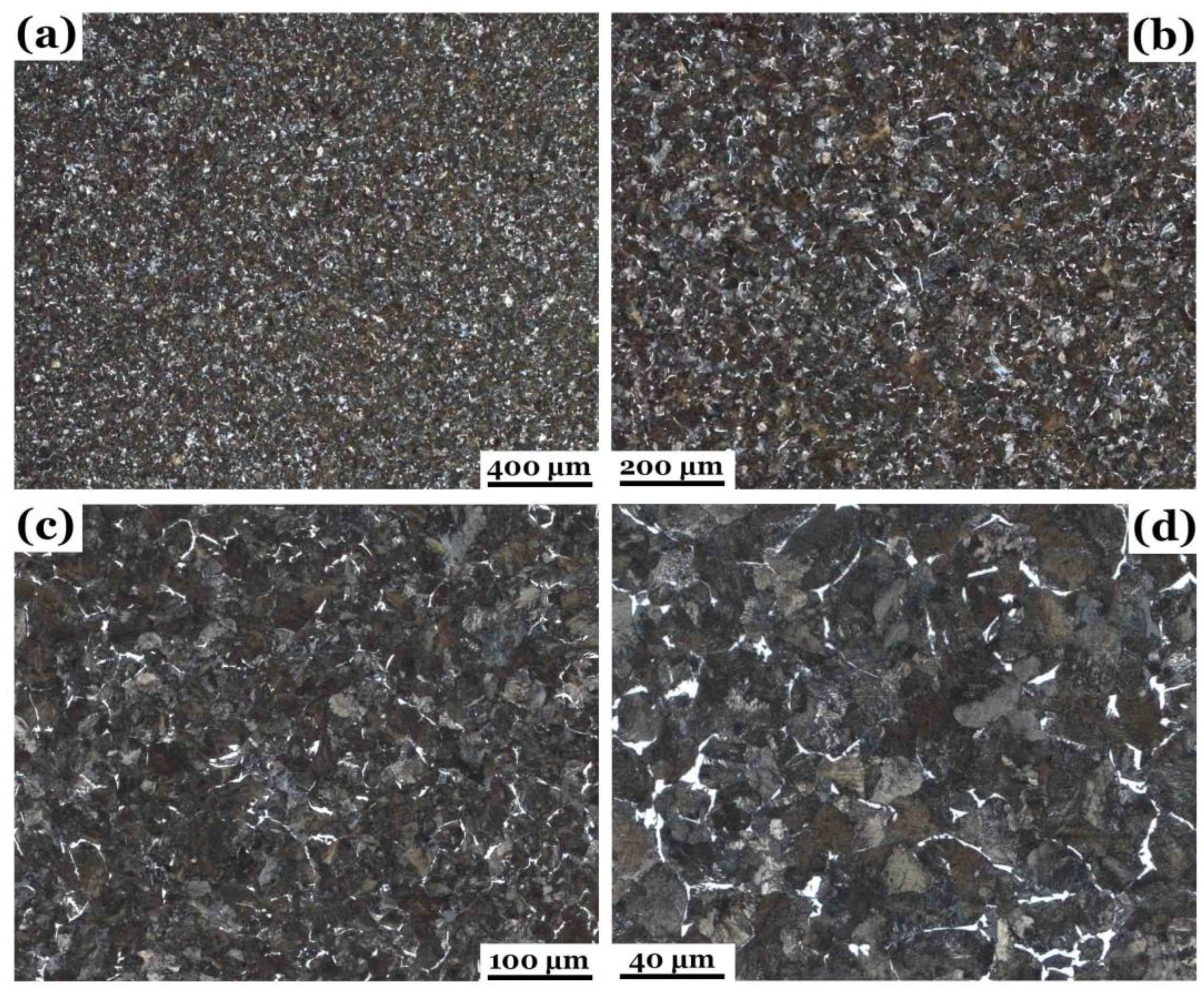 Preprints 161925 g004