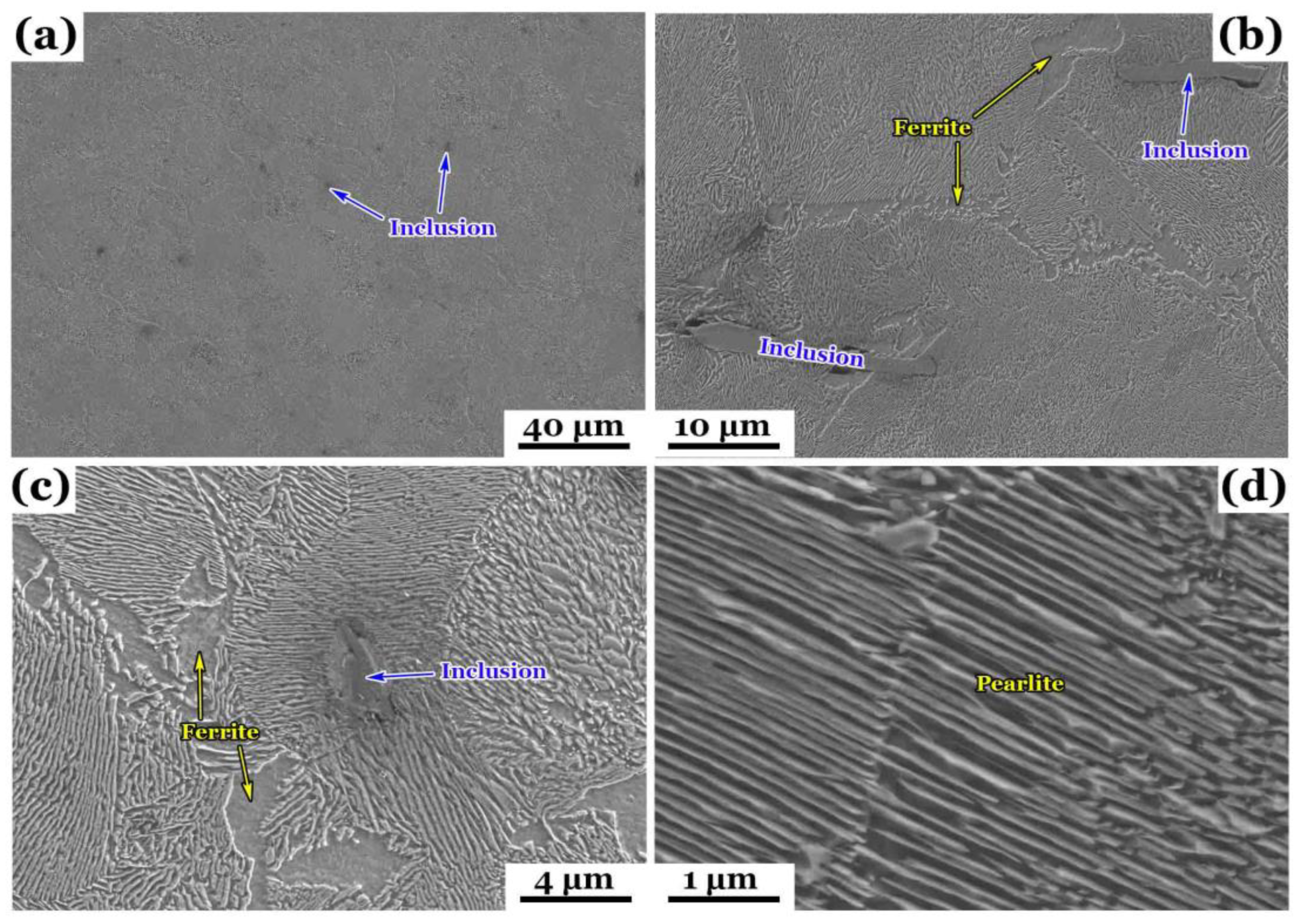 Preprints 161925 g006