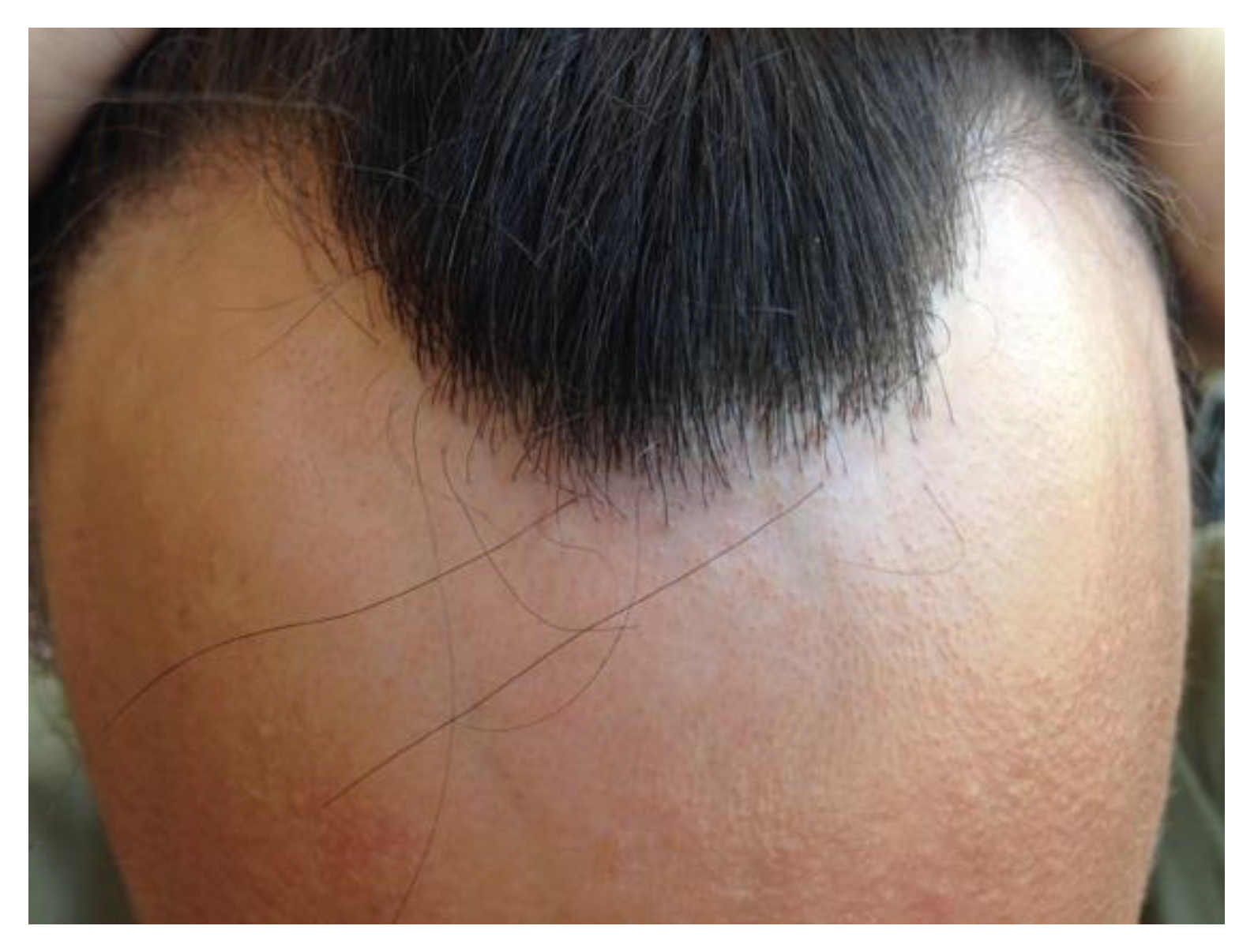 Preprints 148227 g002