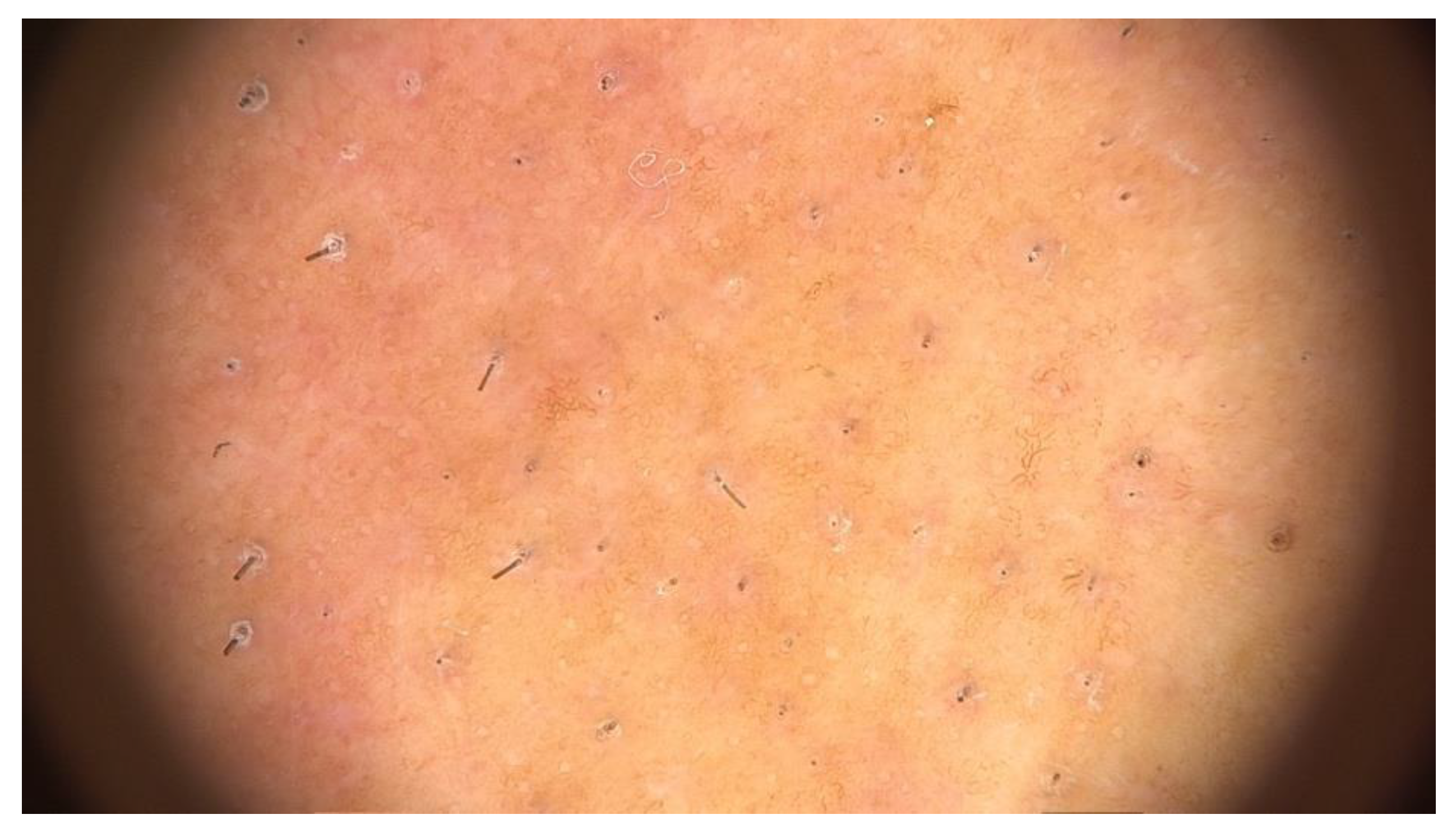 Preprints 148227 g009