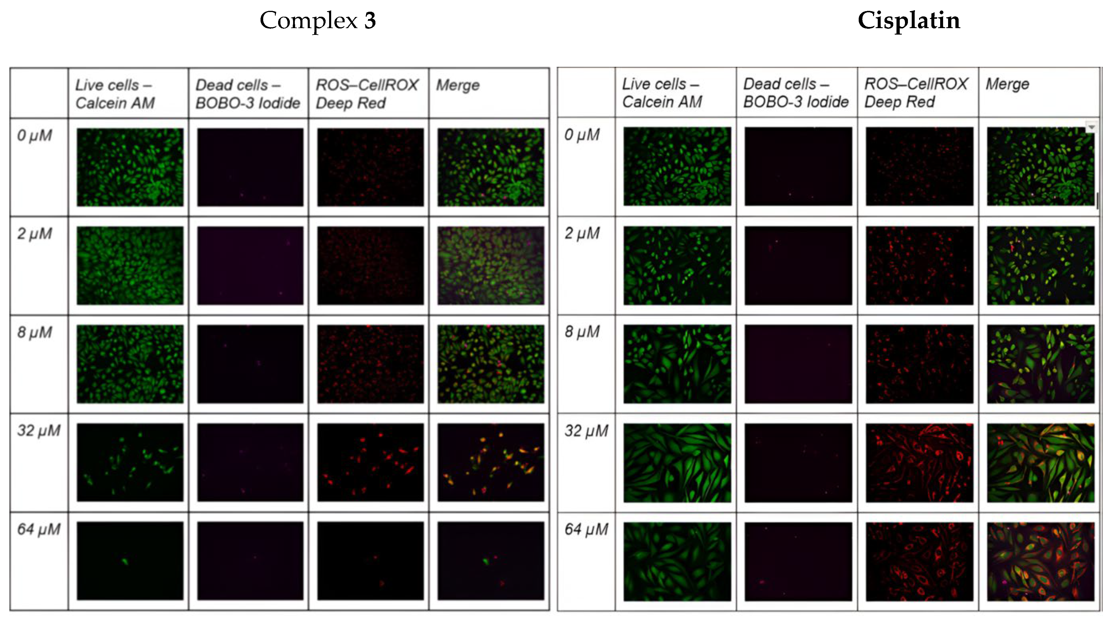 Preprints 220383 g004 Preprints 220383 g004