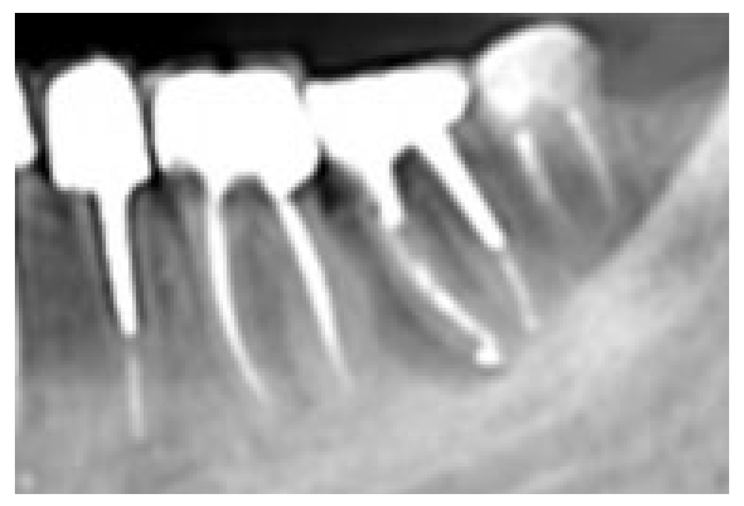 Preprints 191316 g004