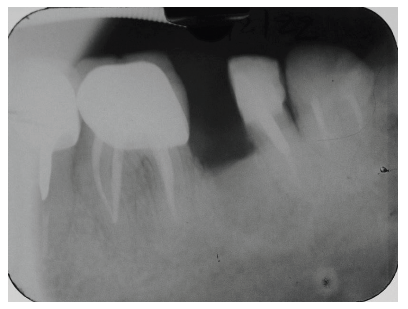 Preprints 191316 g006