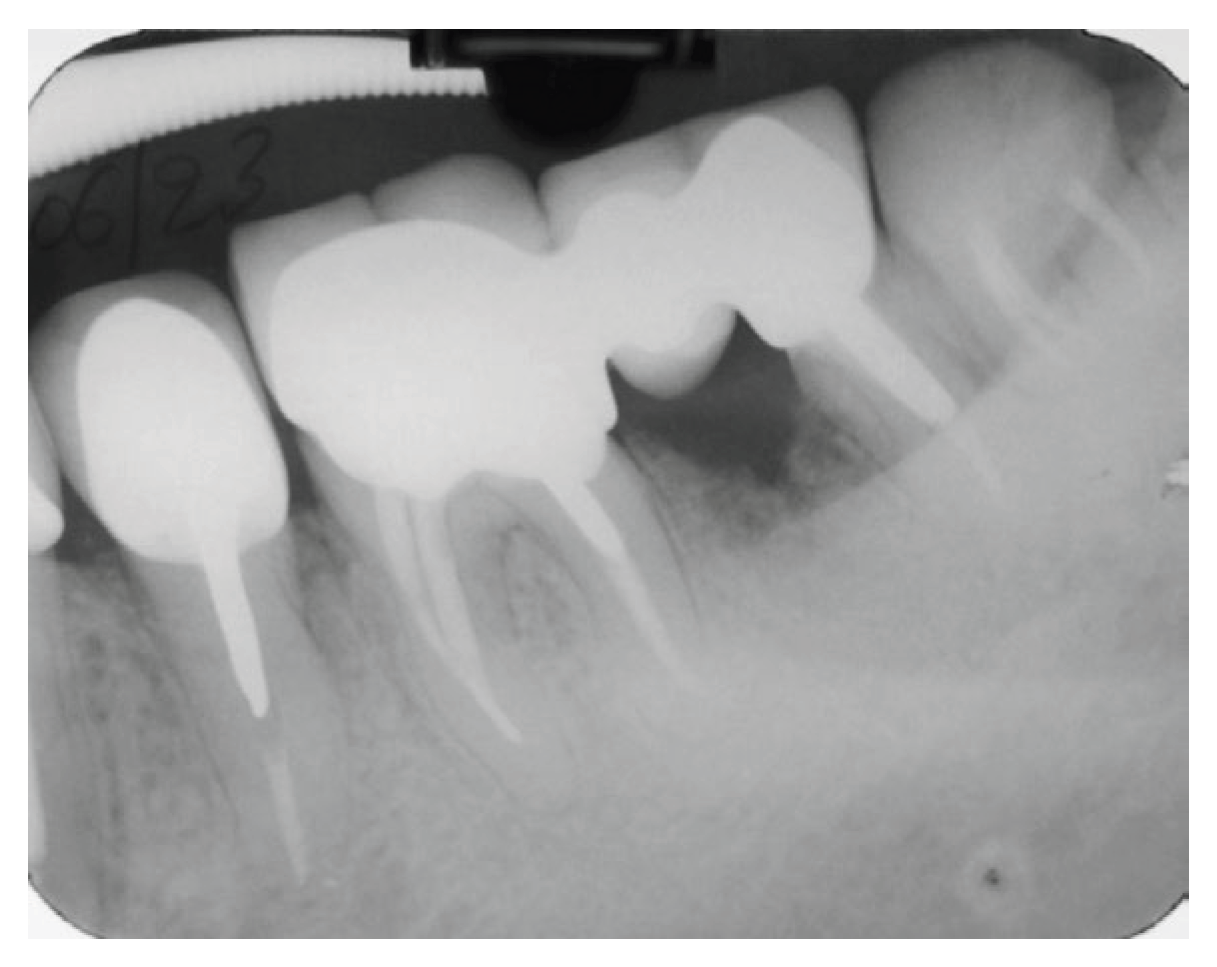 Preprints 191316 g007