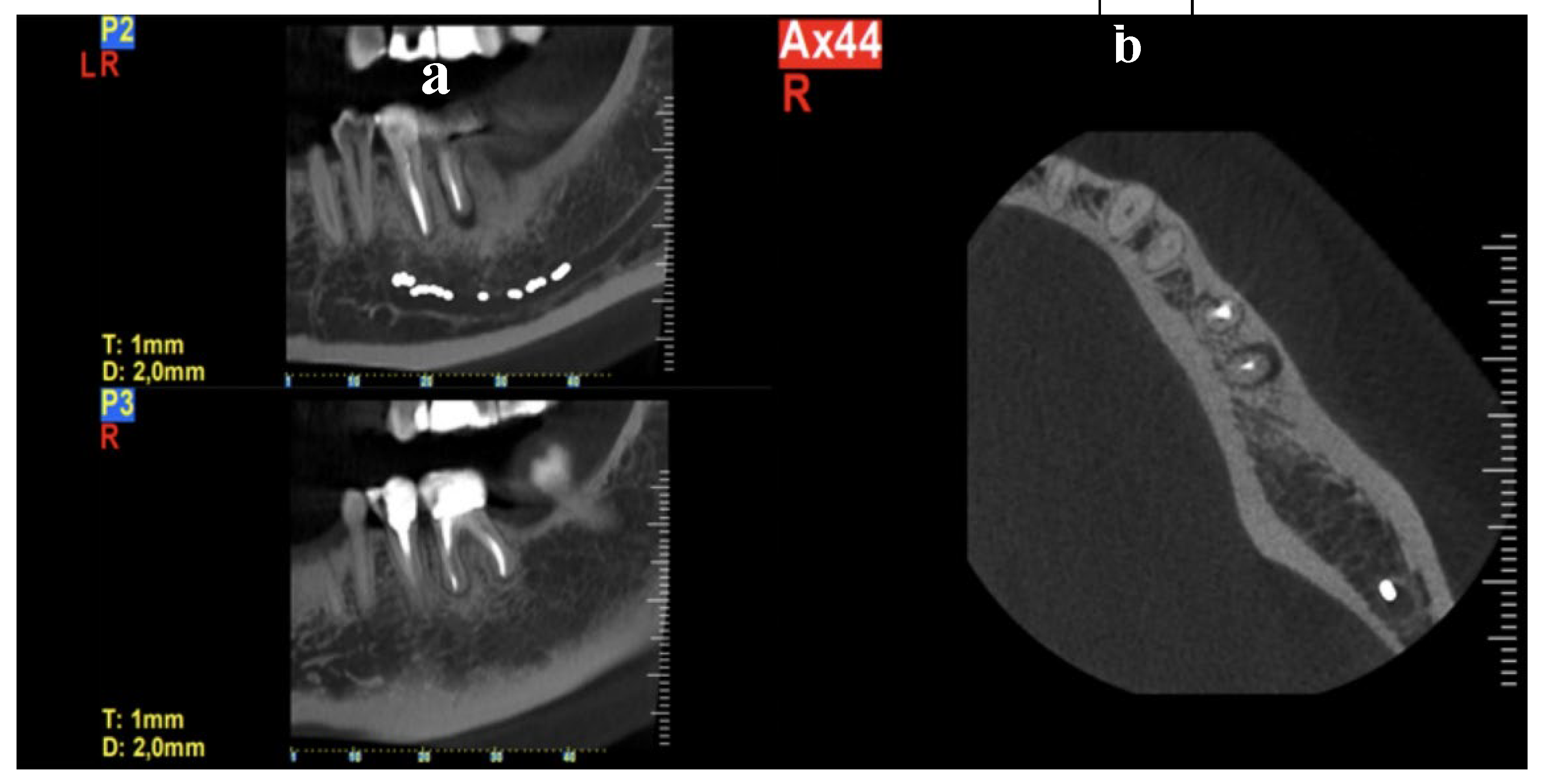 Preprints 191316 g012