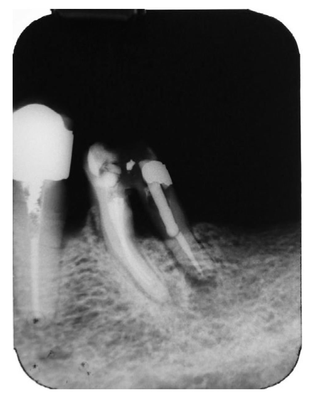 Preprints 191316 g017