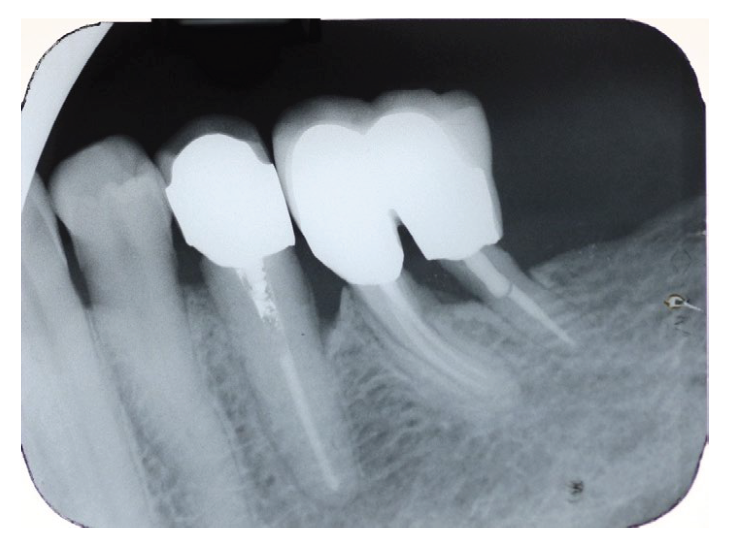 Preprints 191316 g019