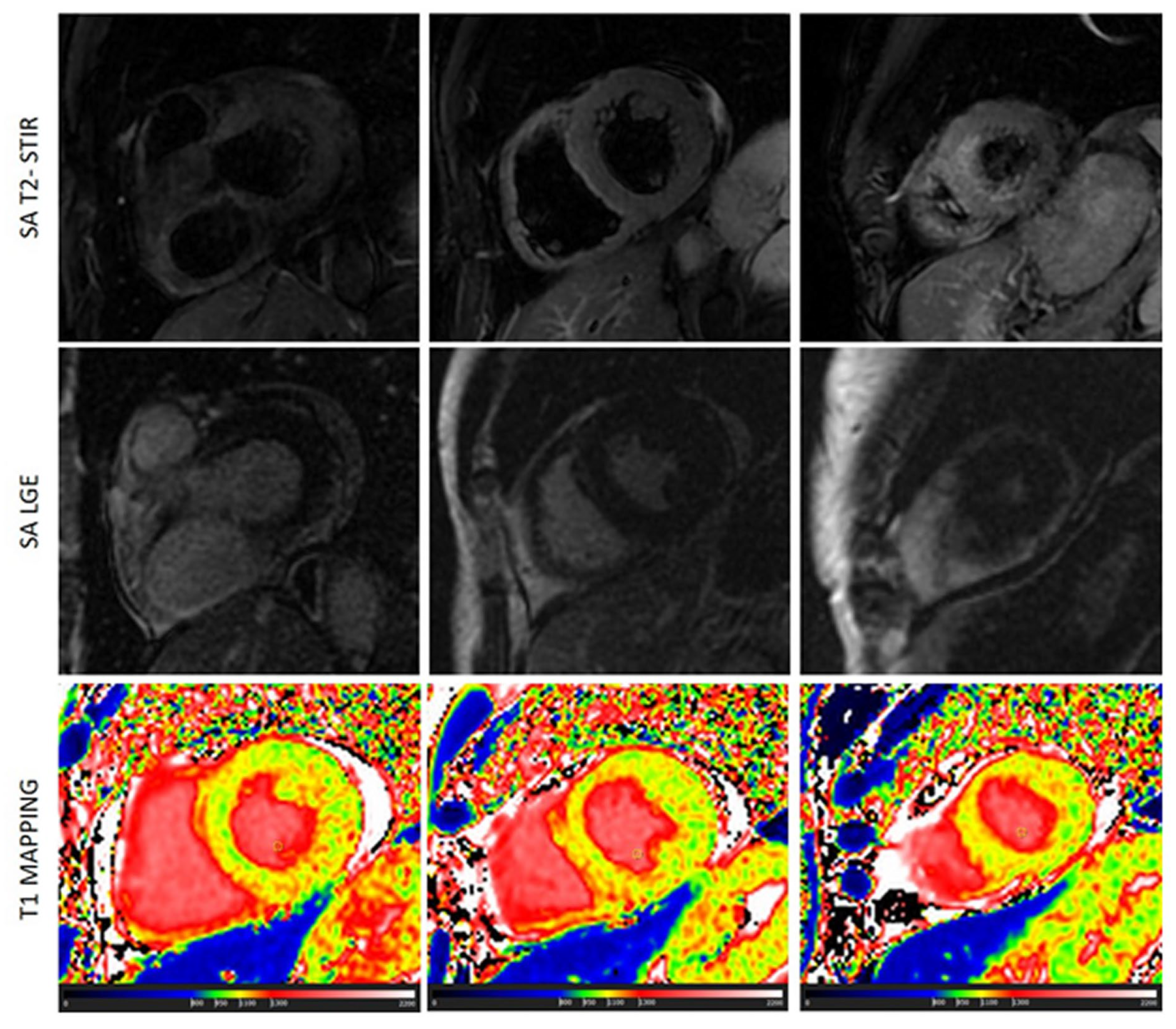 Preprints 75842 g004