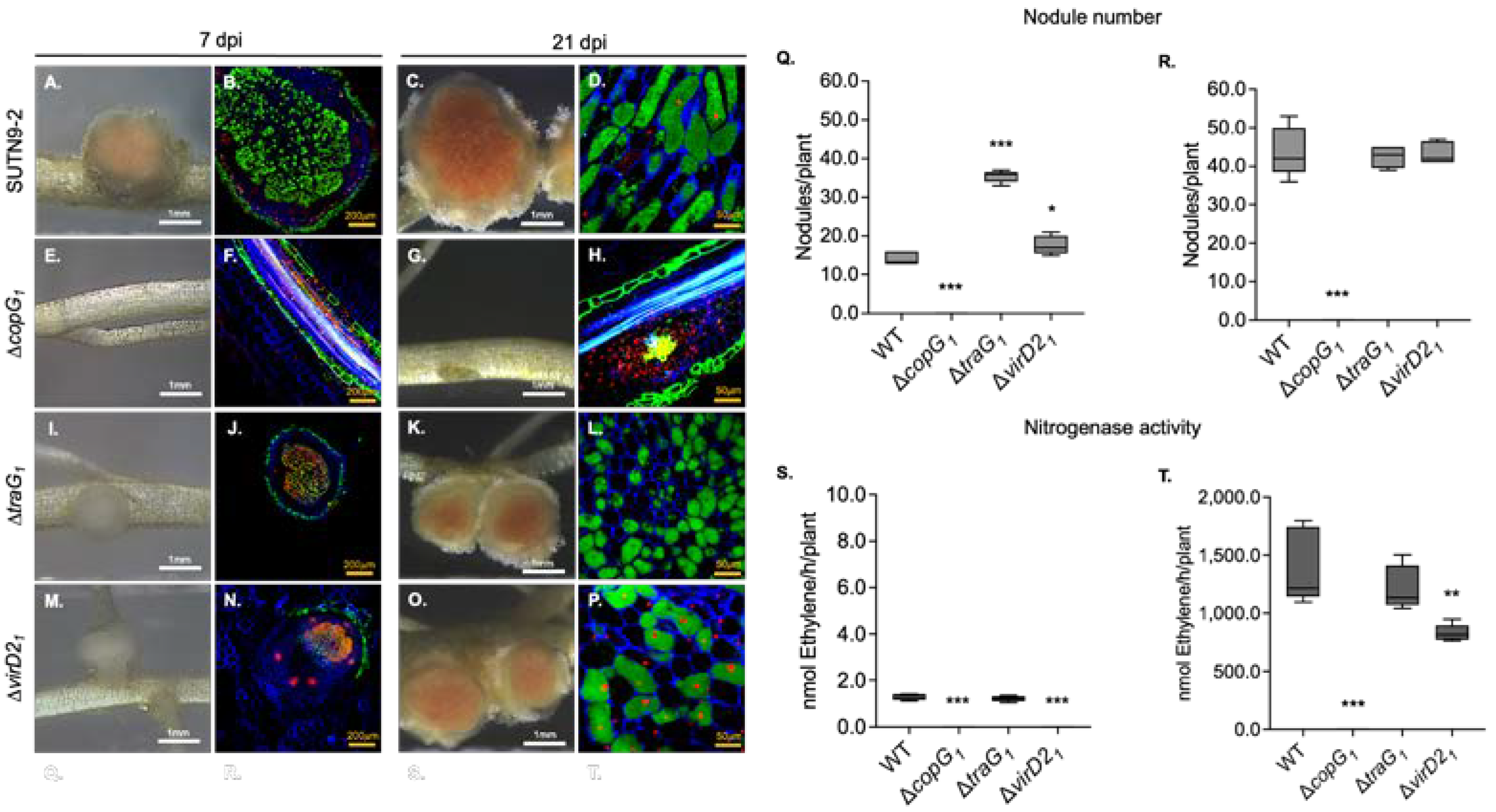 Preprints 105801 g001