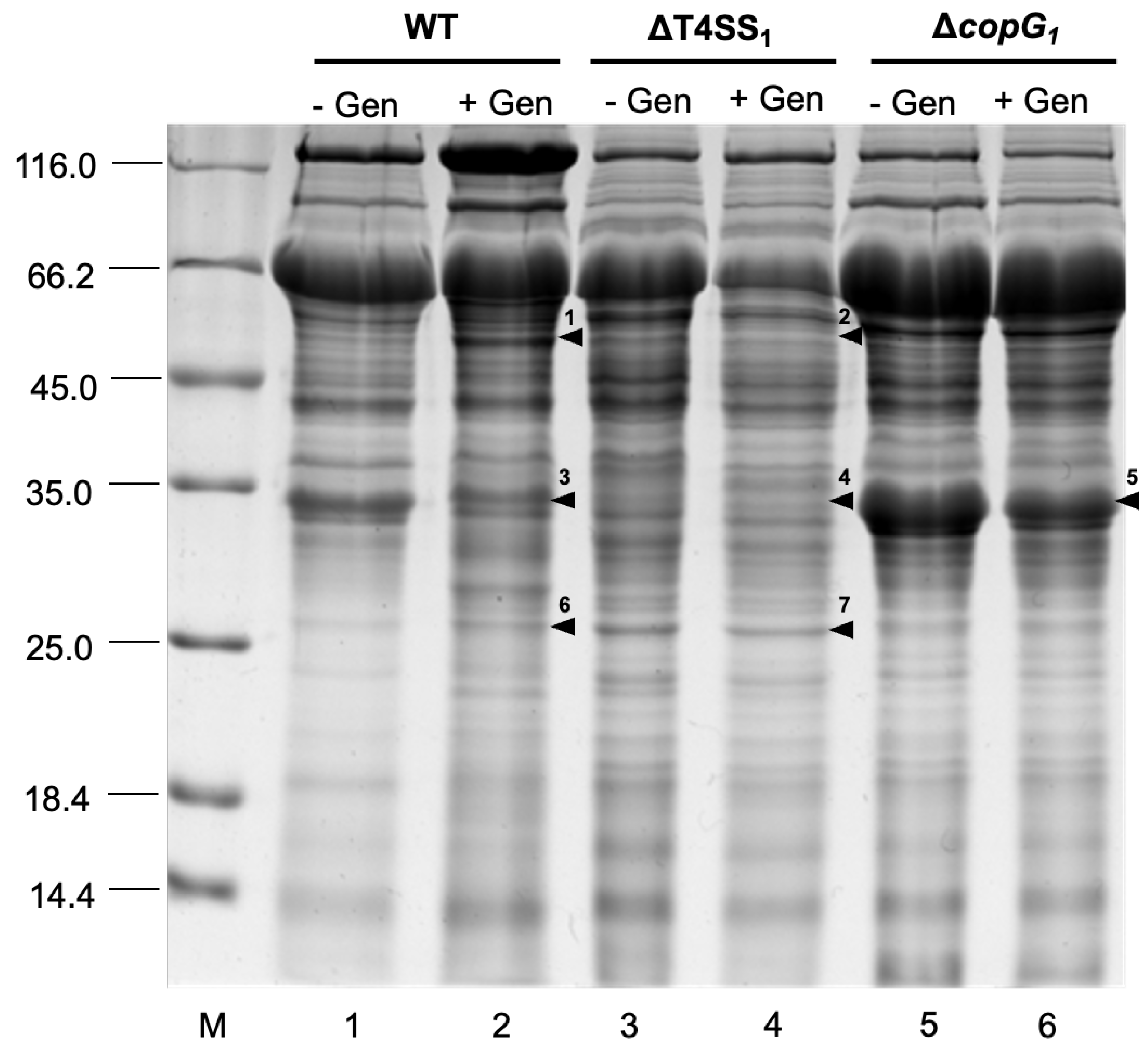 Preprints 105801 g005