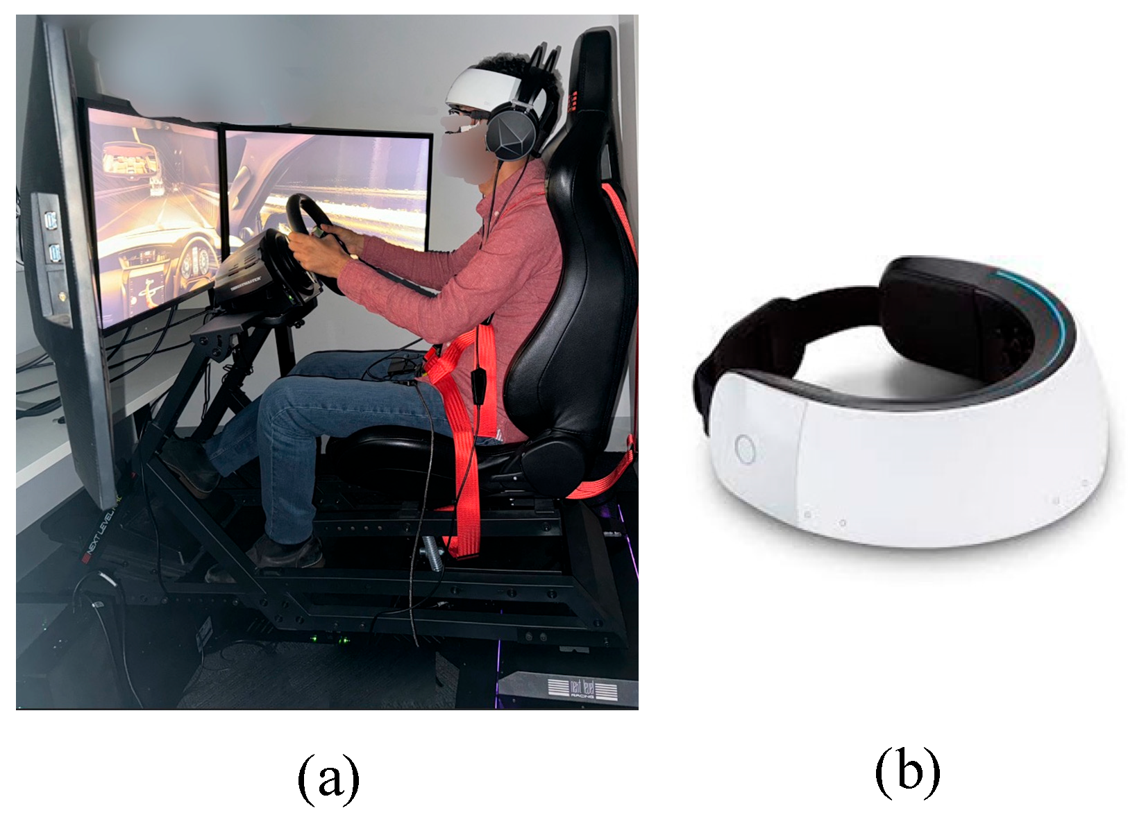 Preprints 166403 g001