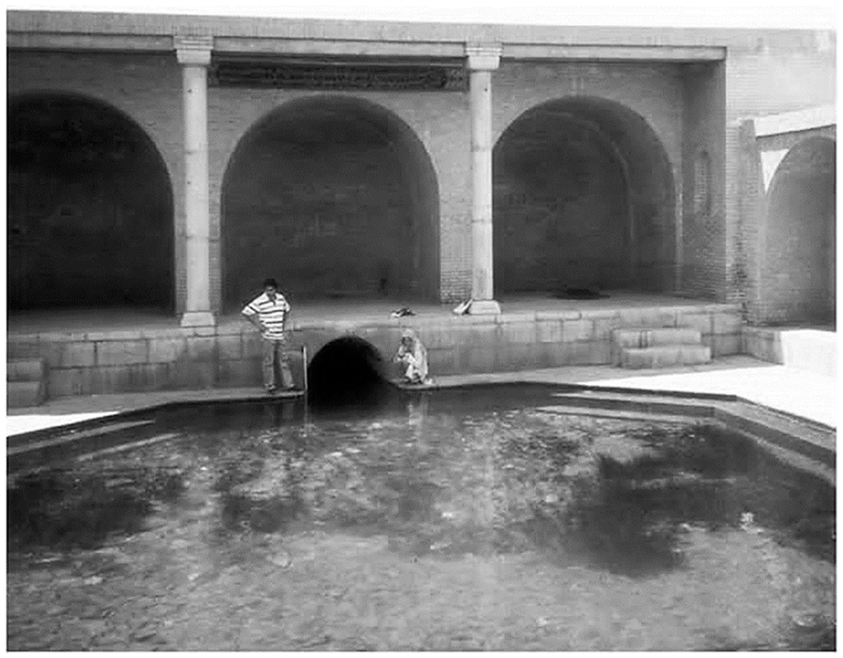 Preprints 151757 g002