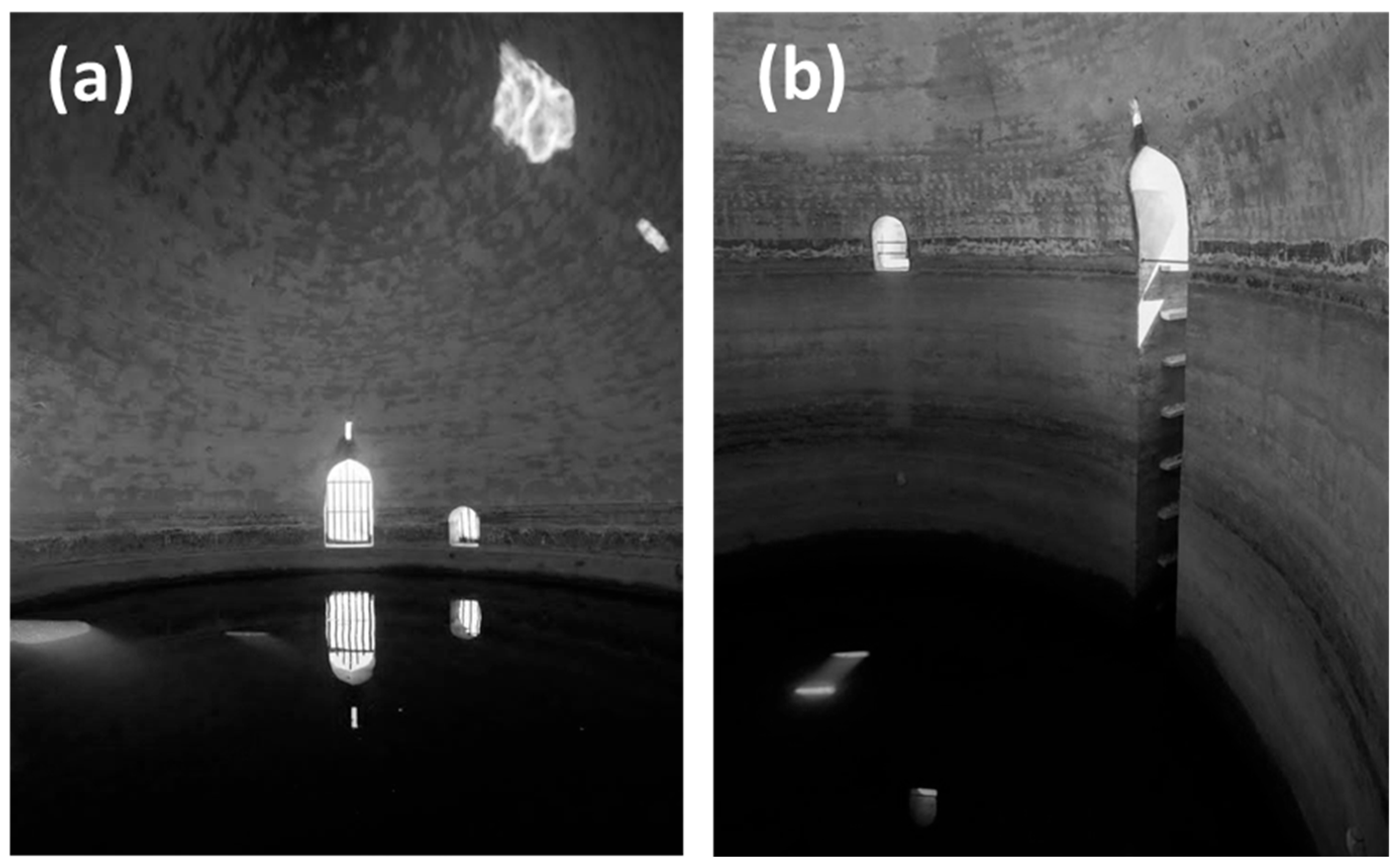 Preprints 151757 g004
