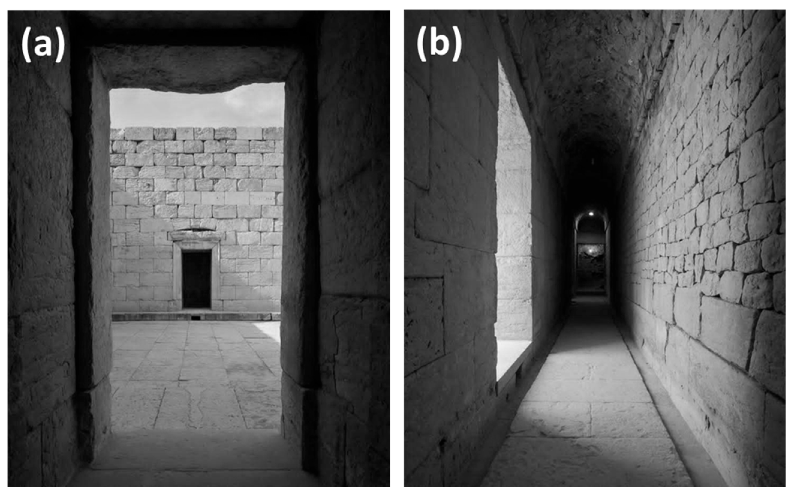 Preprints 151757 g009