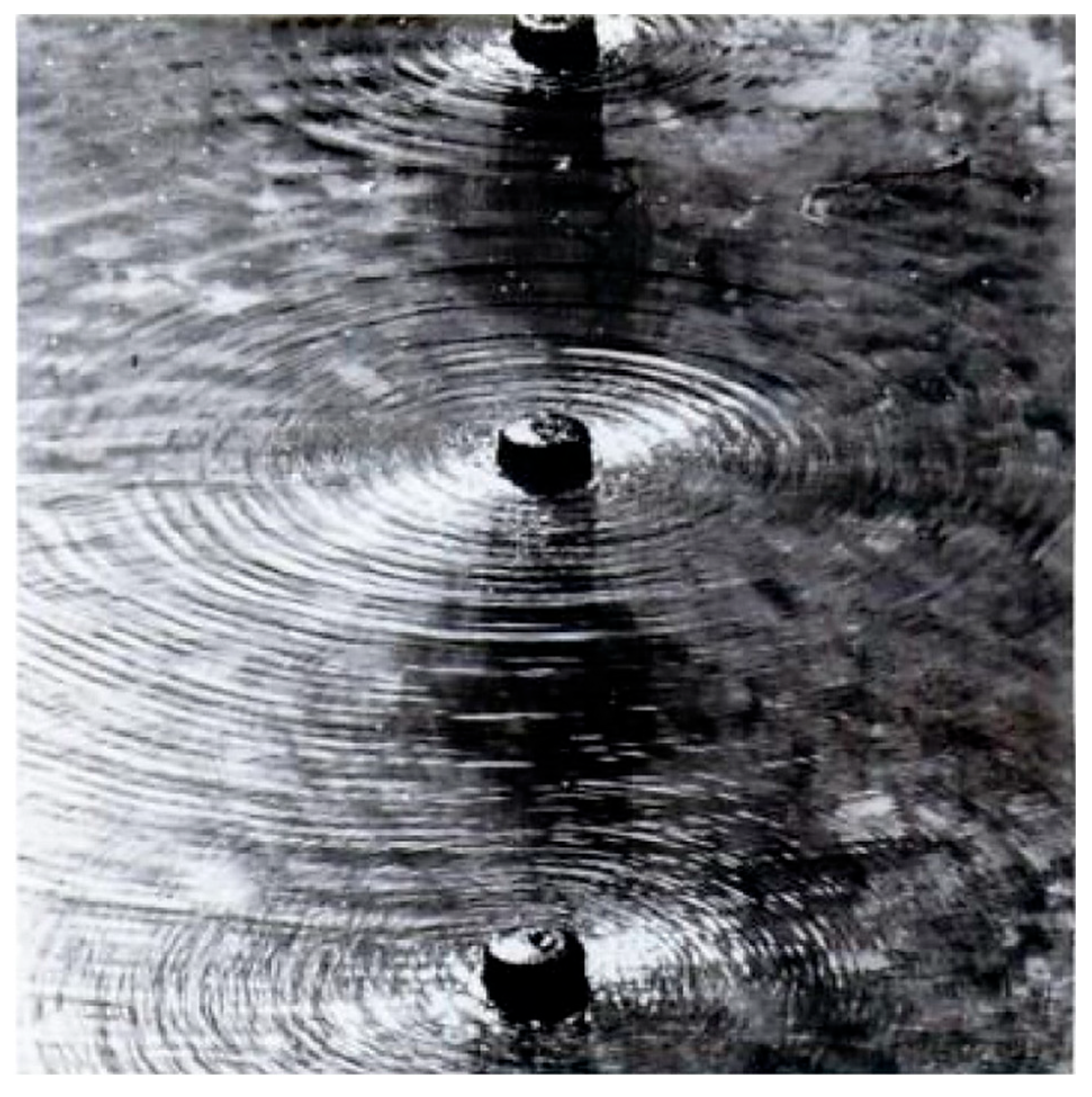 Preprints 151757 g013