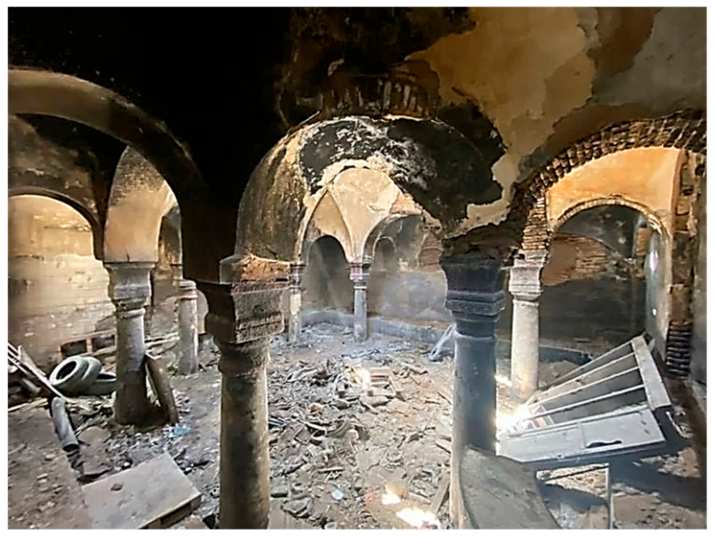 Preprints 151757 g015