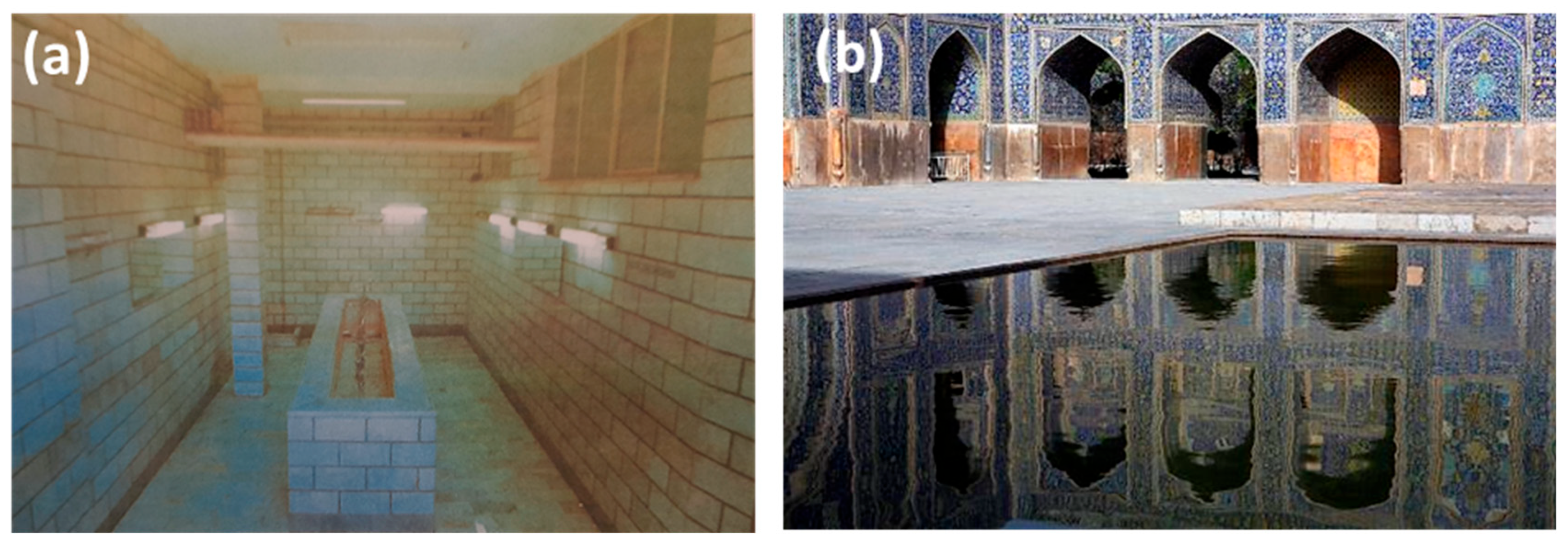 Preprints 151757 g016