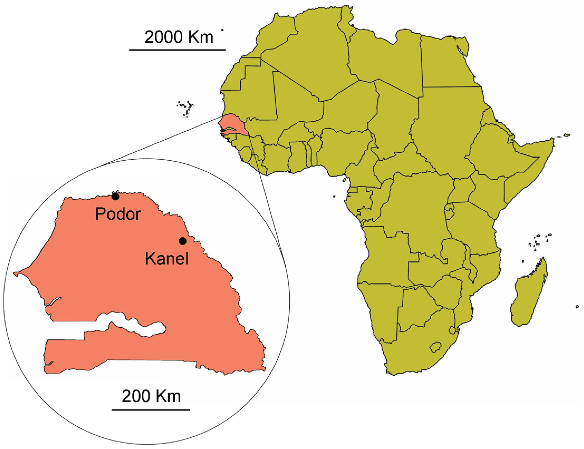 Preprints 190673 g001