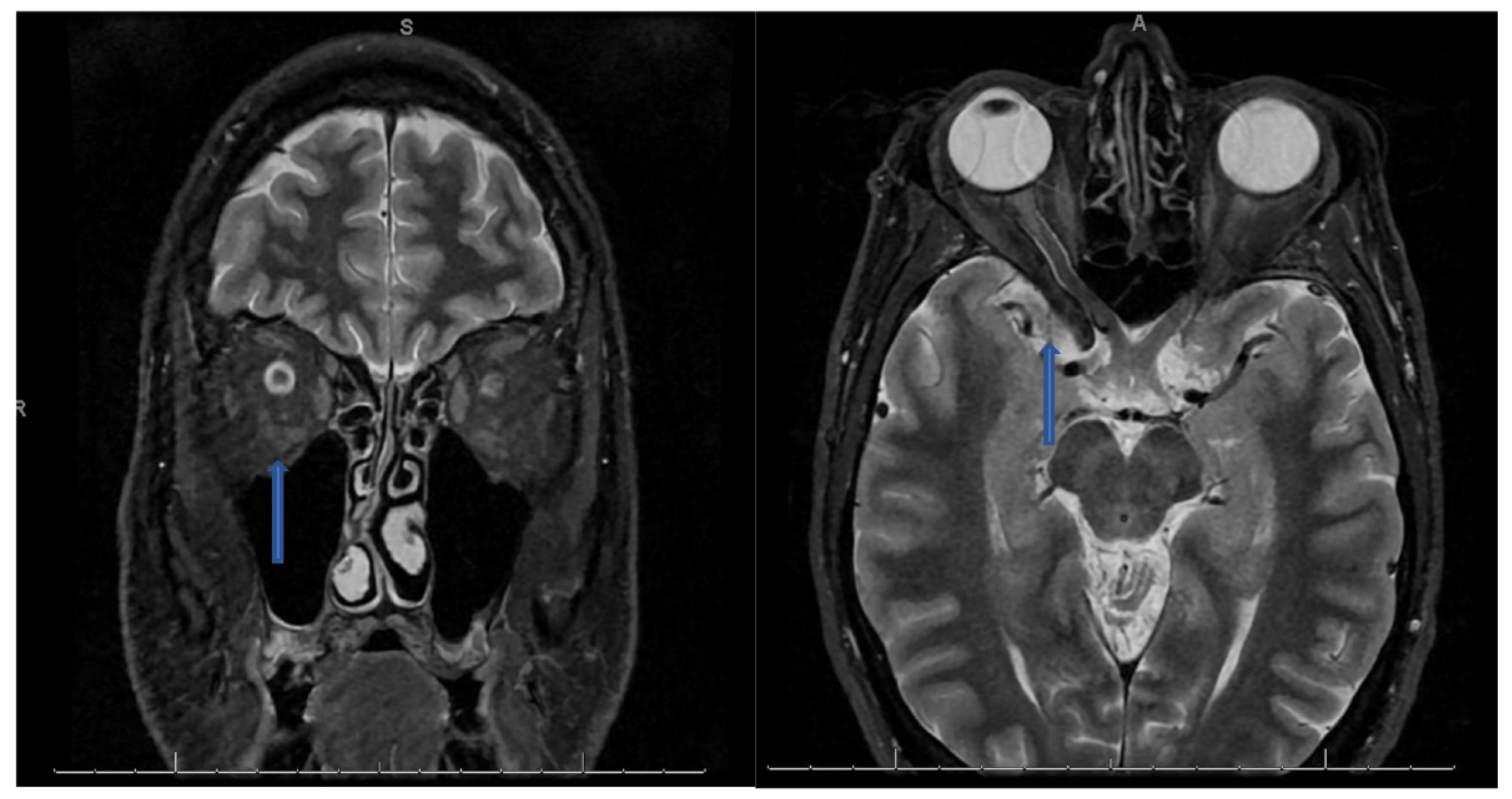 Preprints 182246 g001