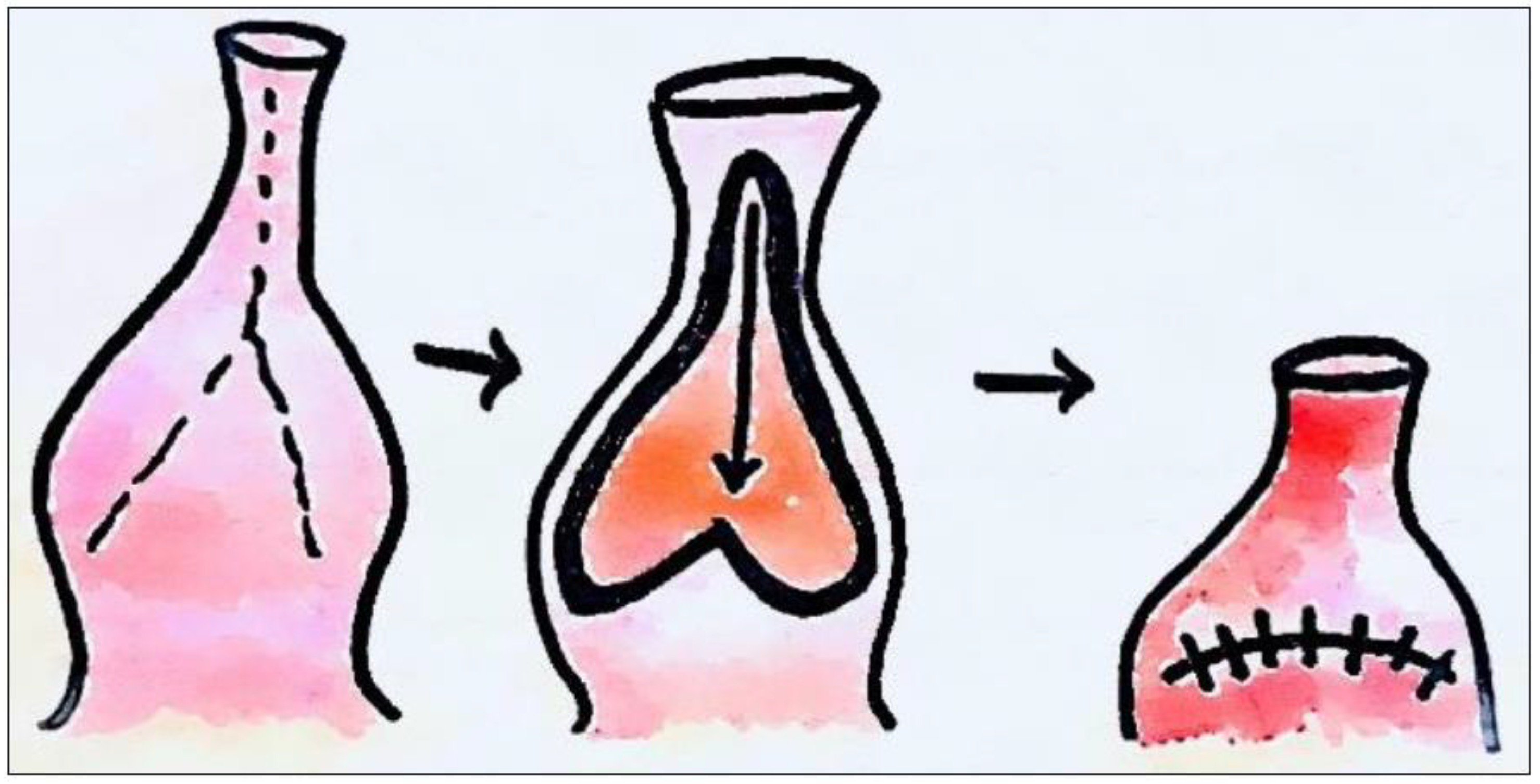 Preprints 93969 g004