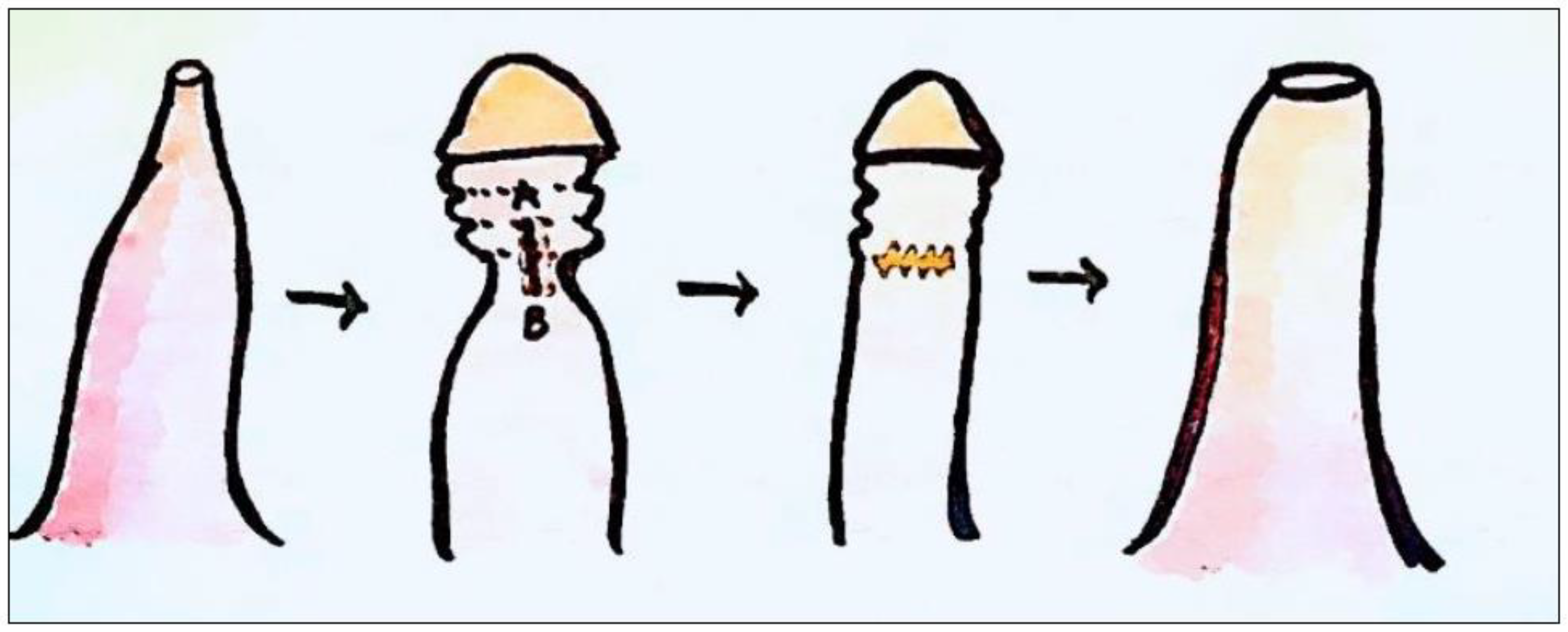 Preprints 93969 g005