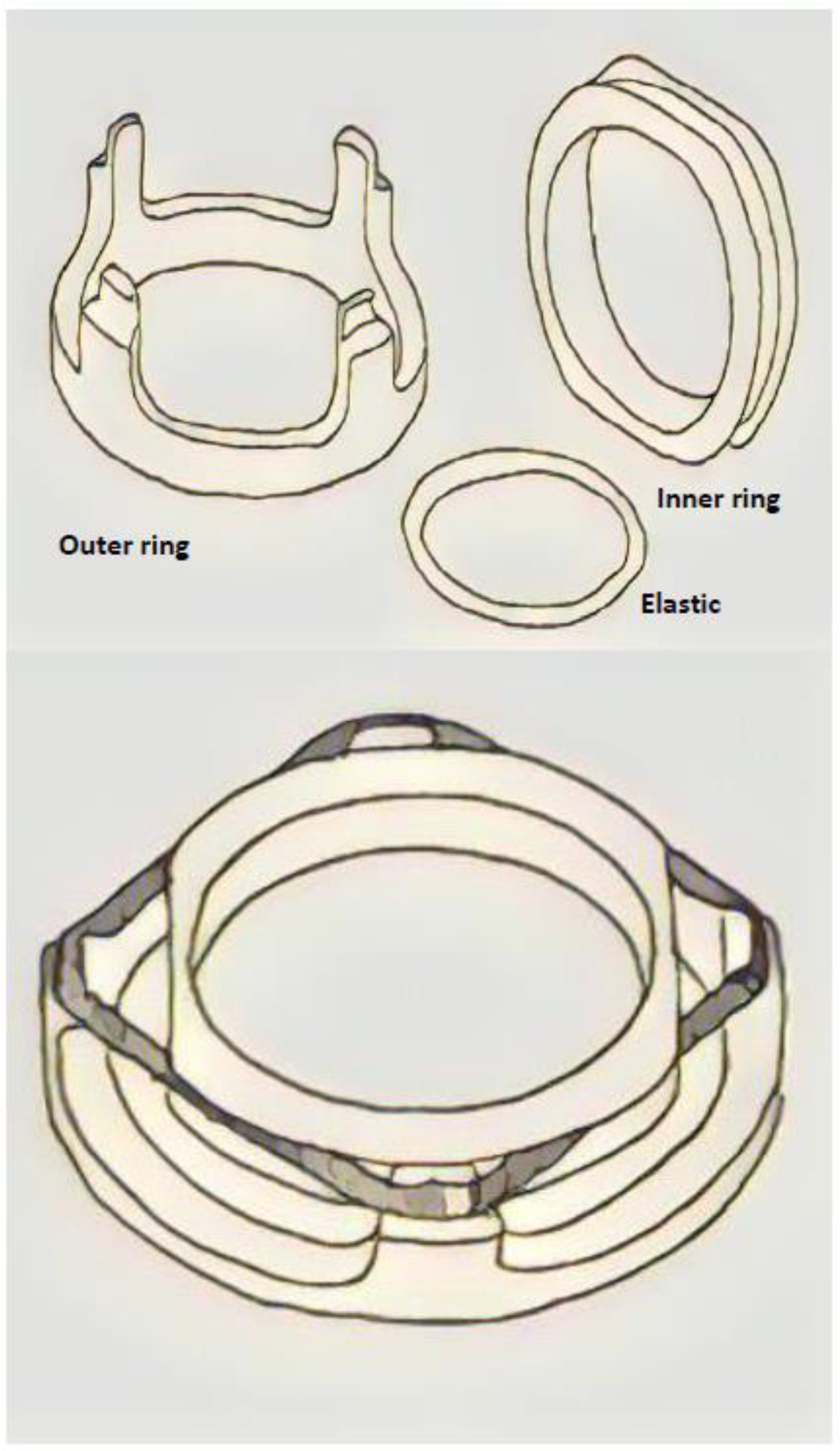 Preprints 93969 g006