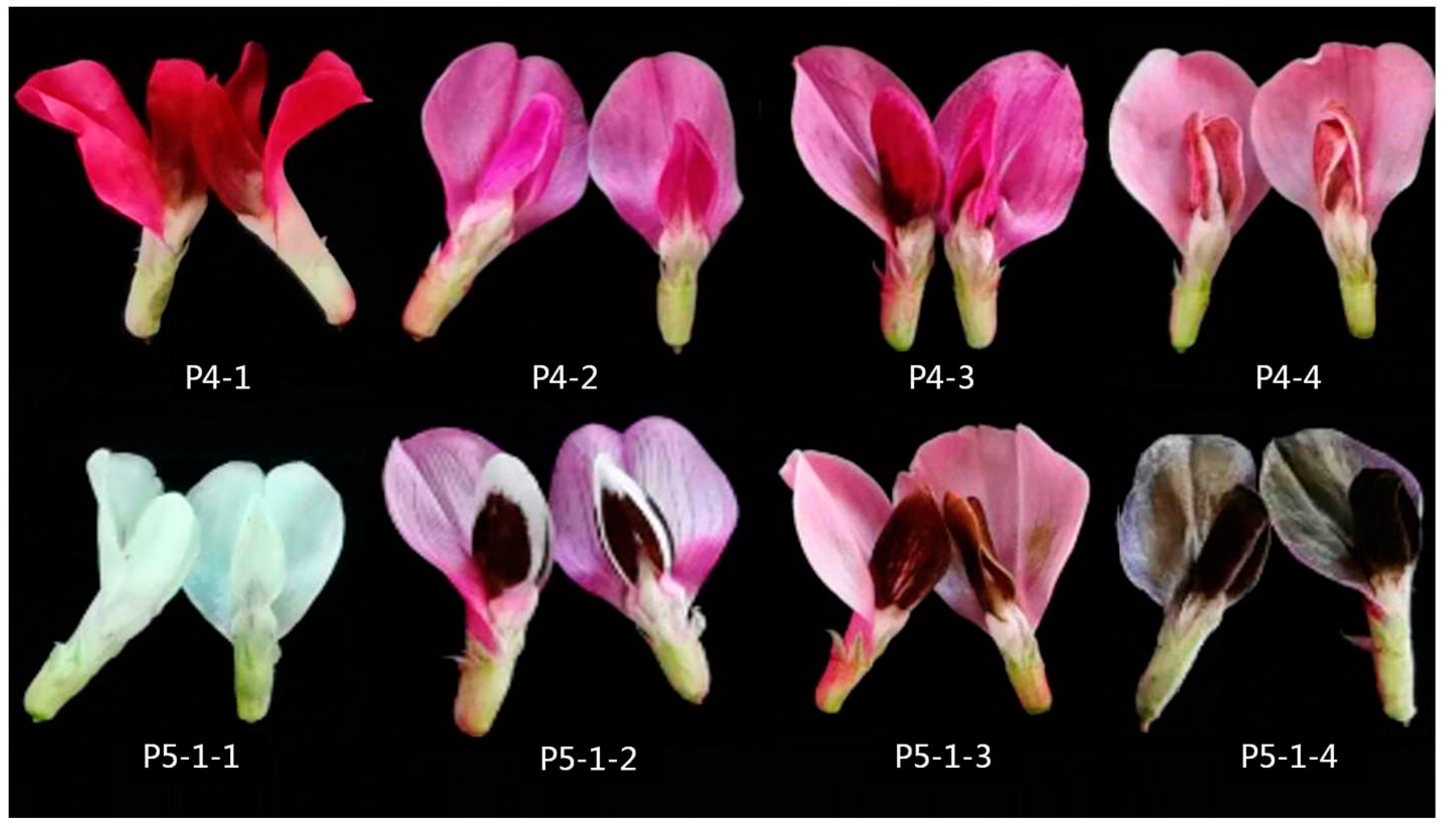 Preprints 76488 g003