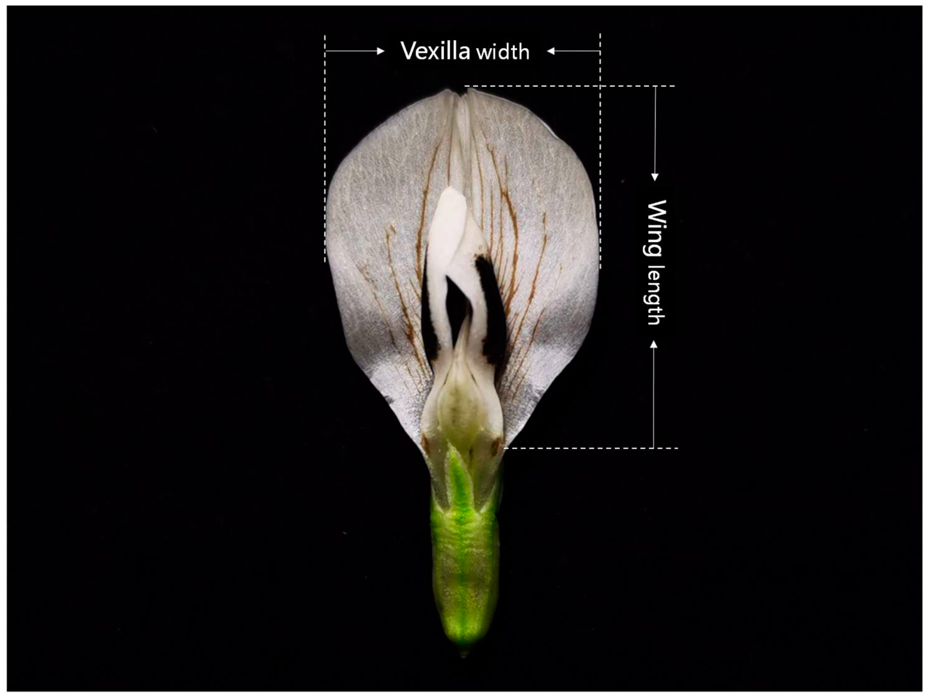 Preprints 76488 g004