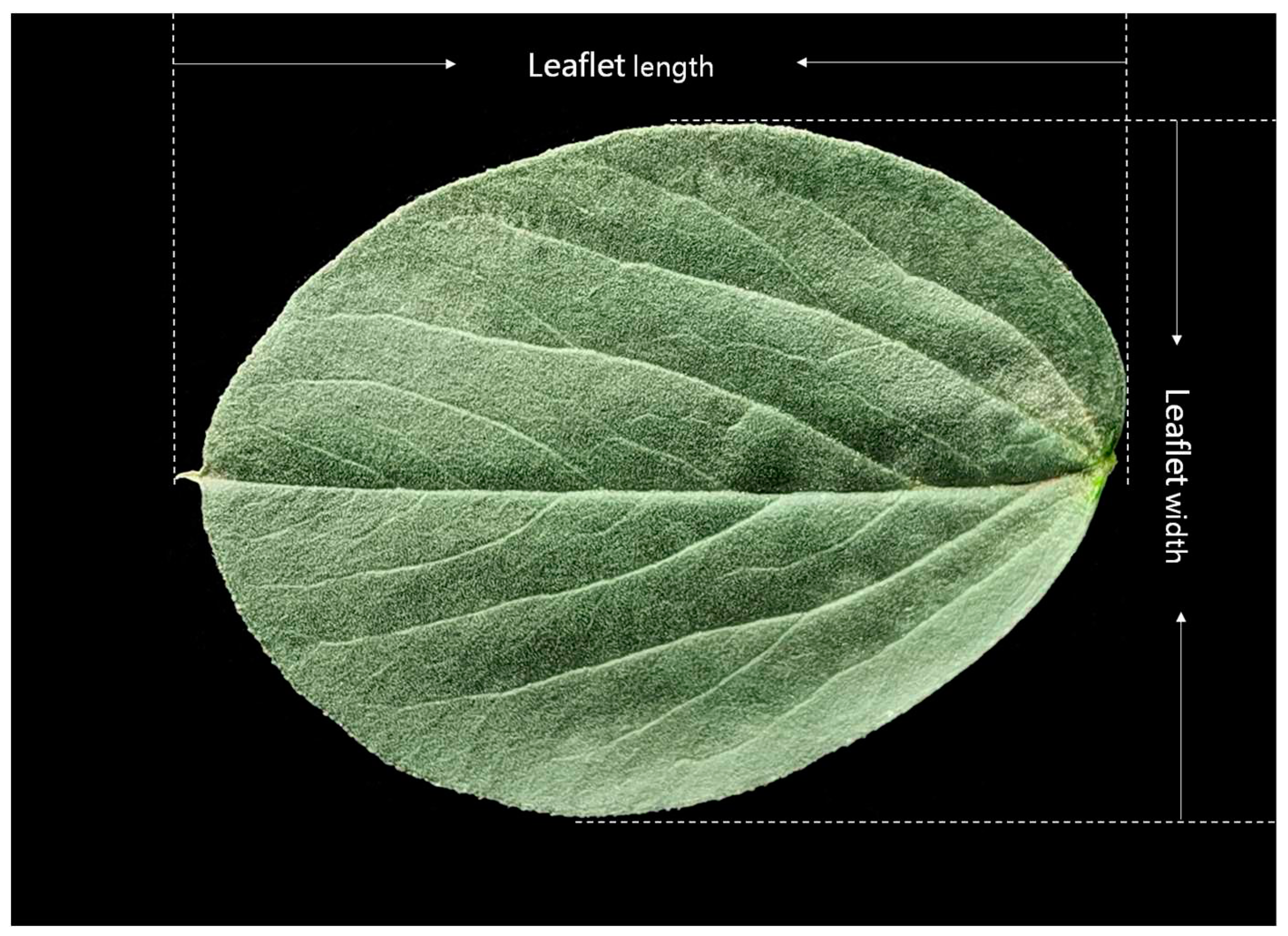 Preprints 76488 g005