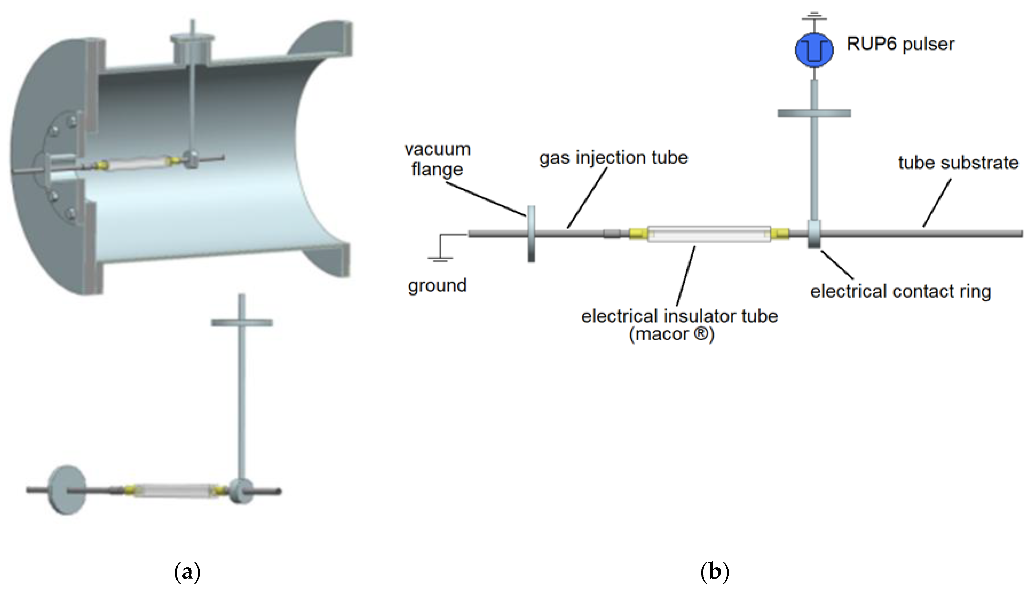 Preprints 150547 g001
