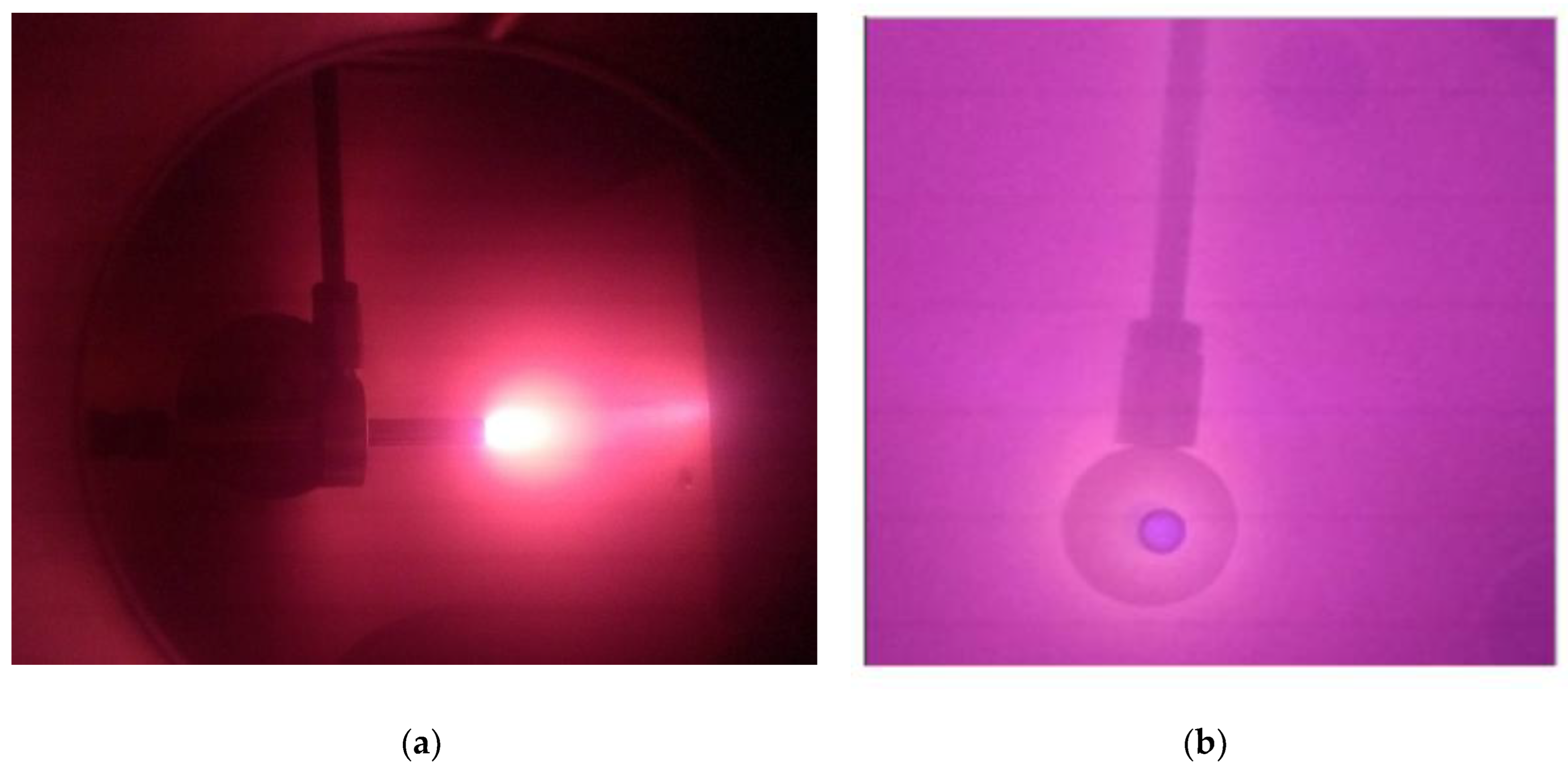 Preprints 150547 g002