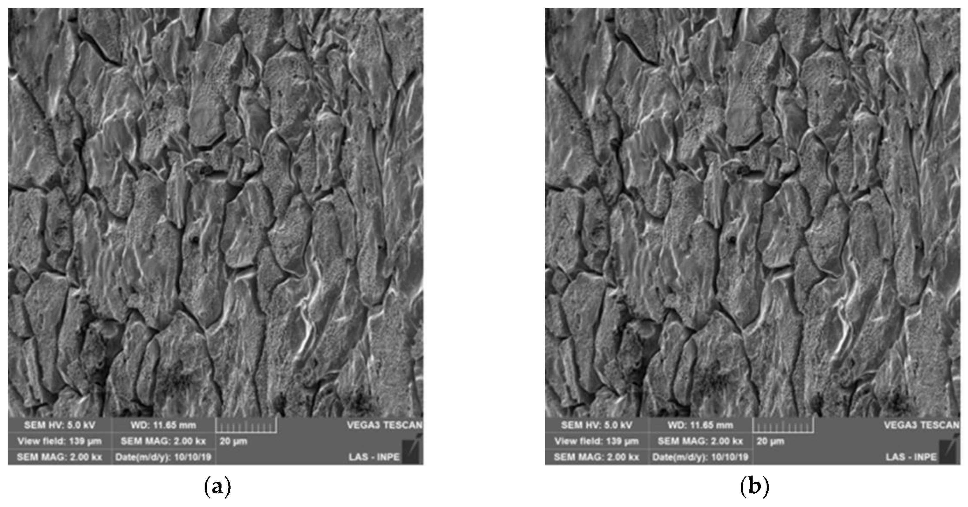 Preprints 150547 g004