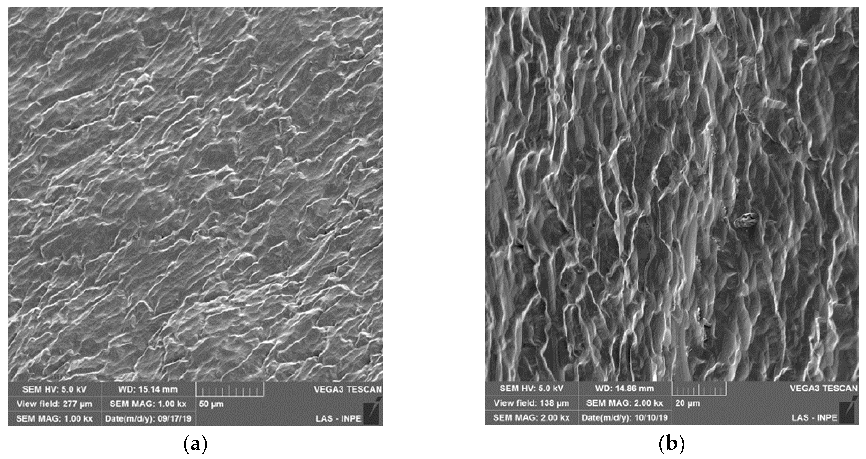 Preprints 150547 g006