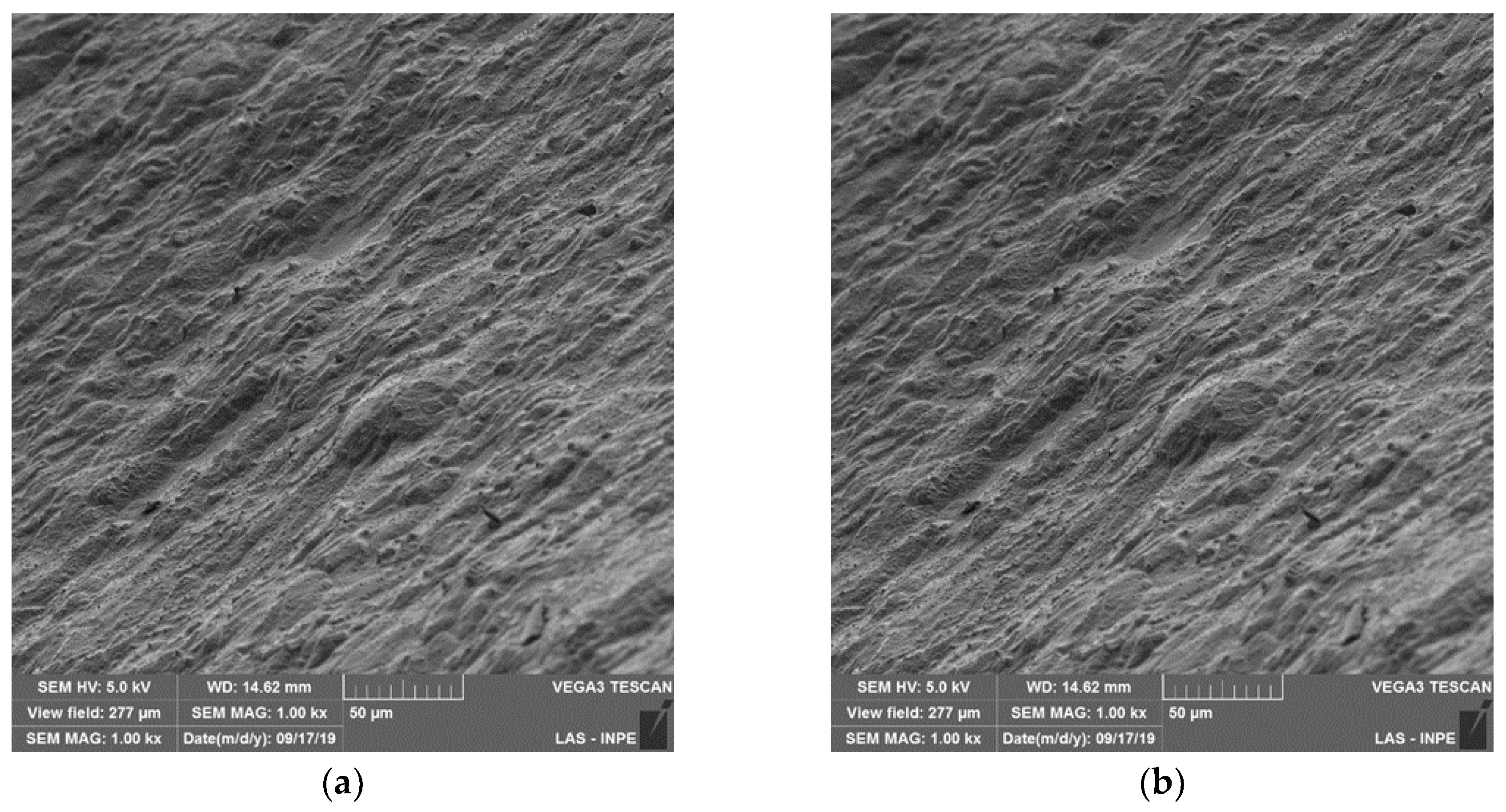 Preprints 150547 g009