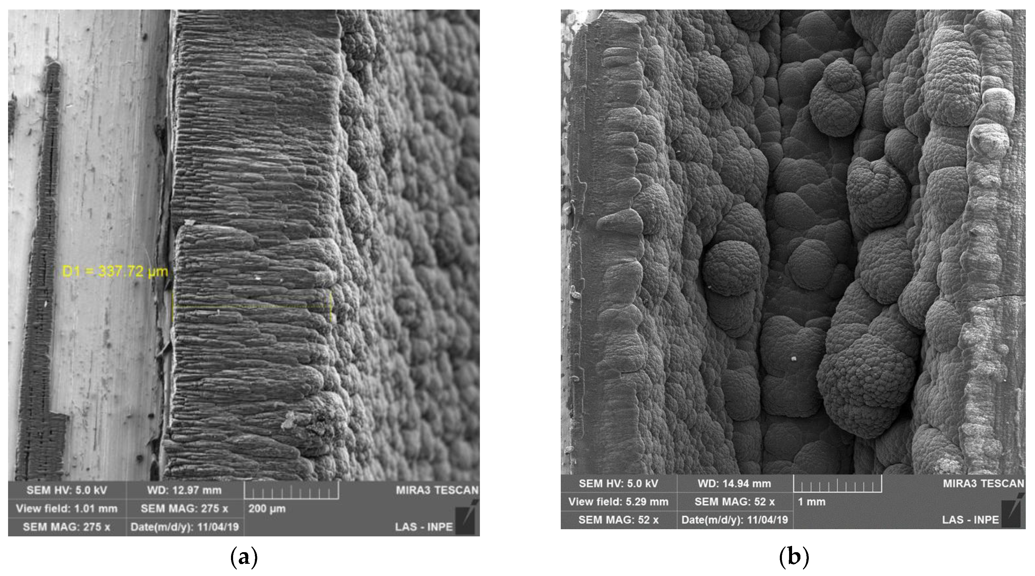 Preprints 150547 g010