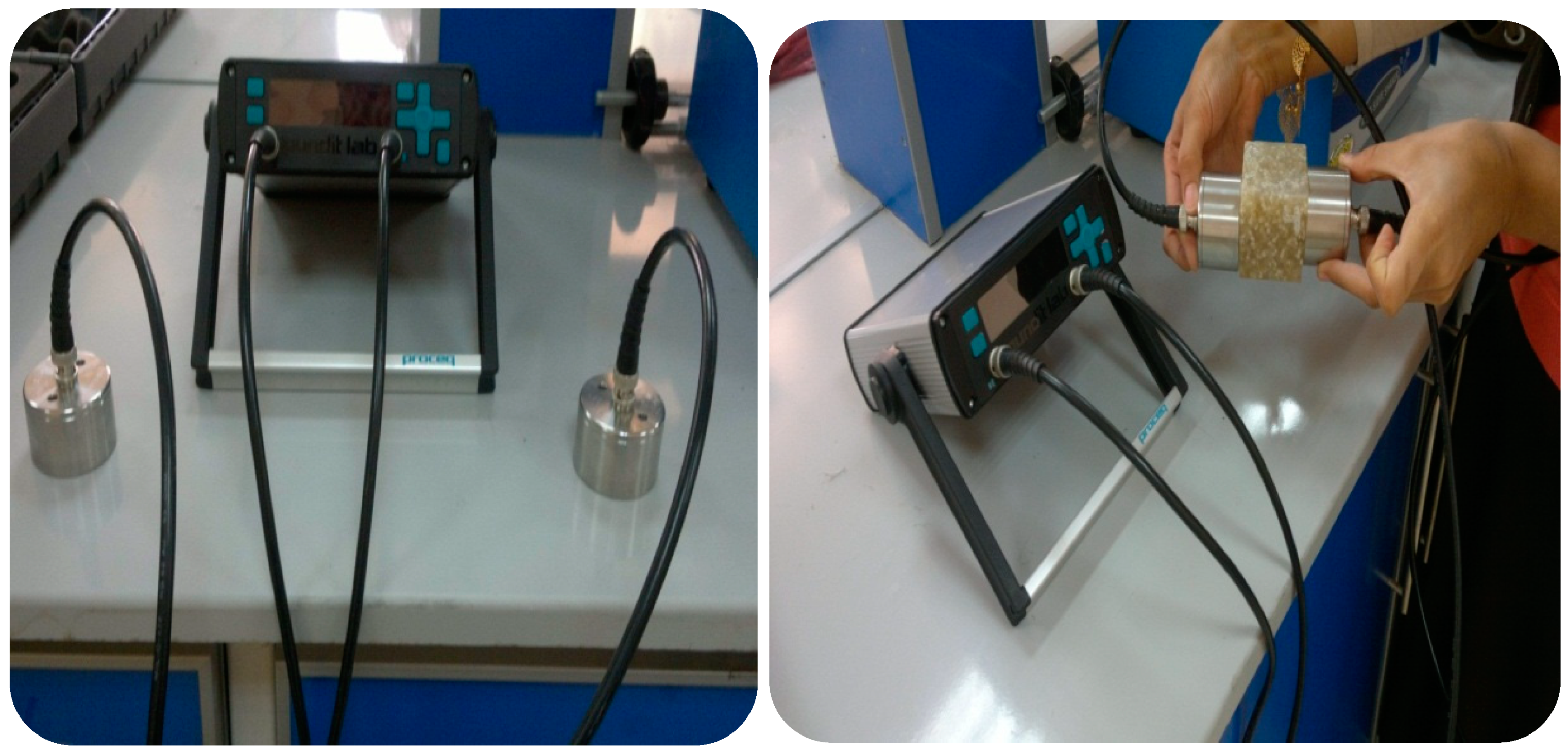 Preprints 74636 g003