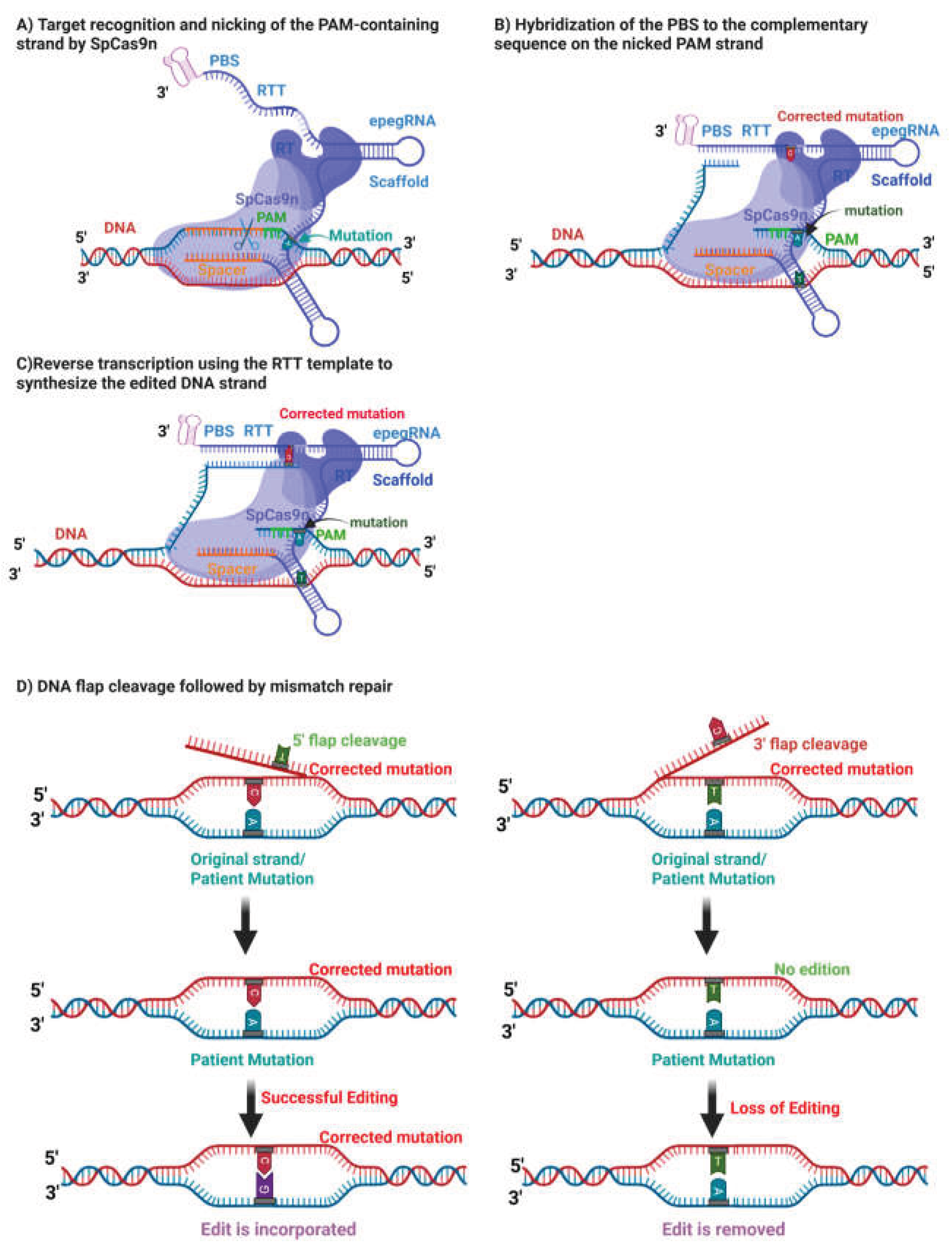 Preprints 199023 g001