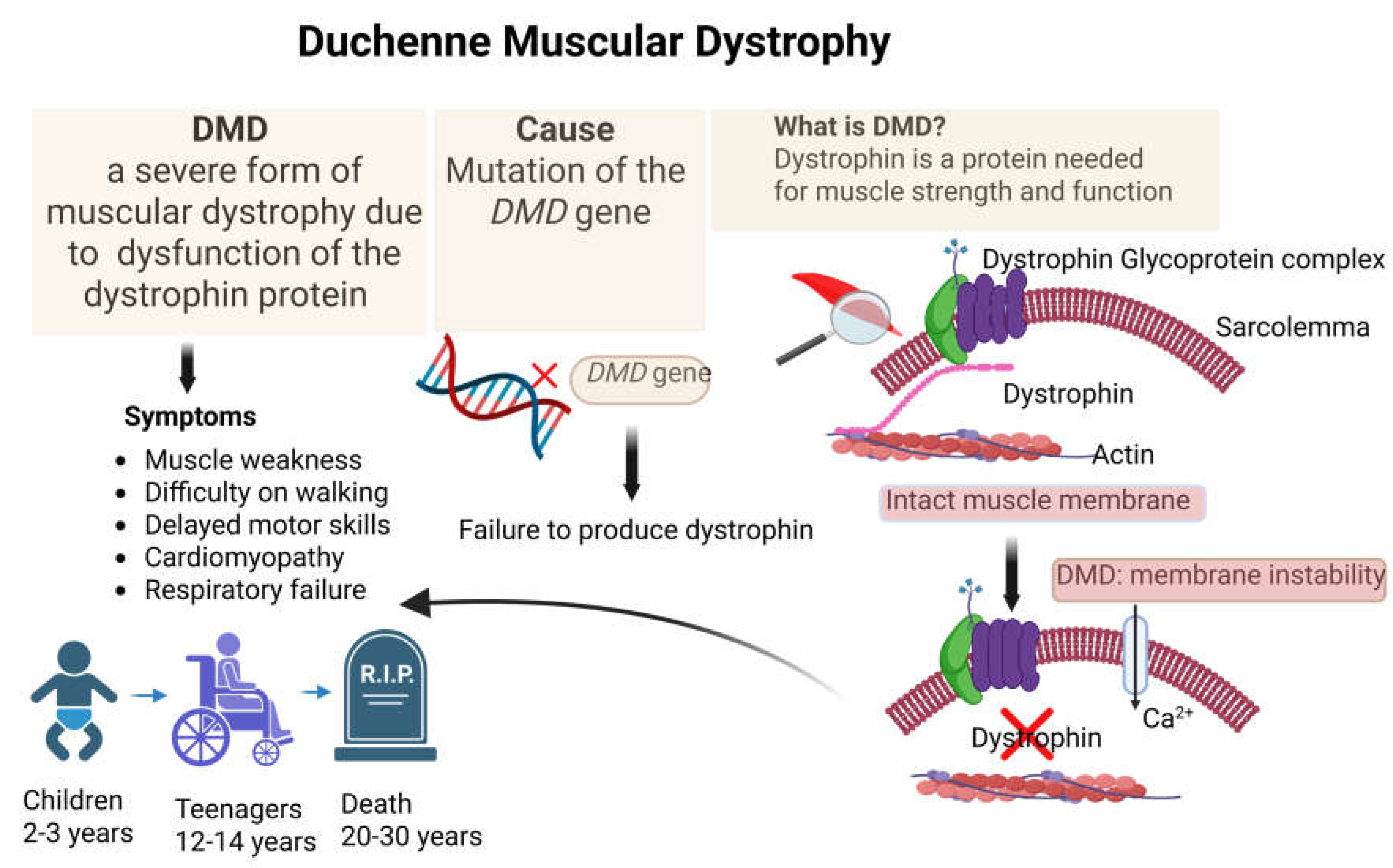 Preprints 199023 g002