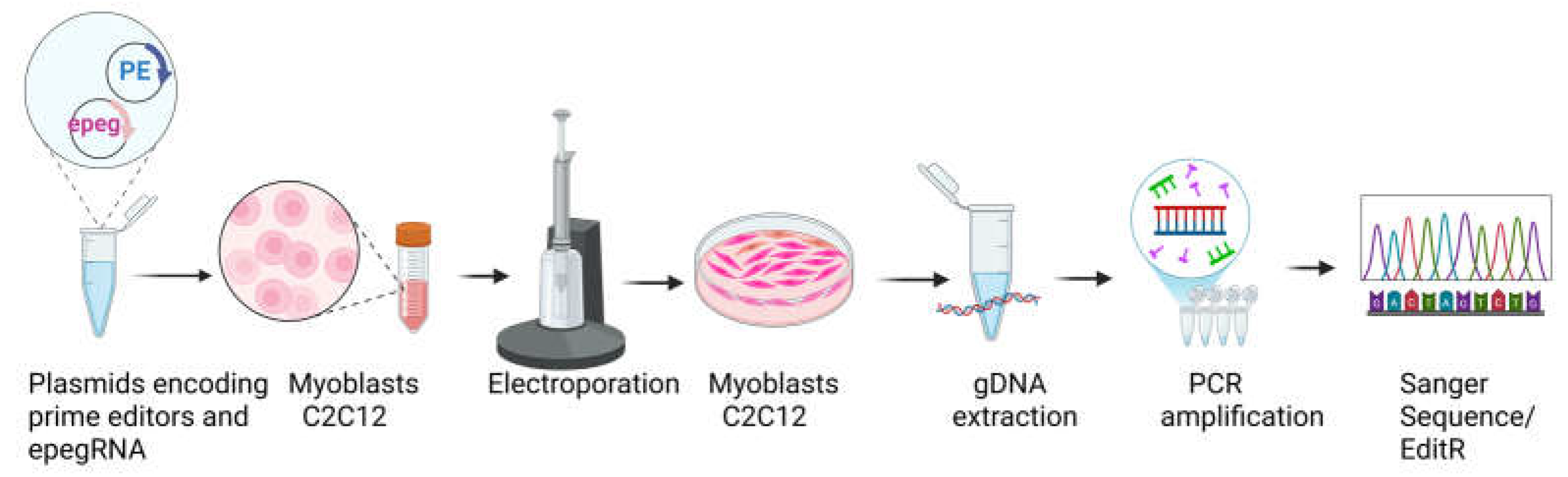 Preprints 199023 g003